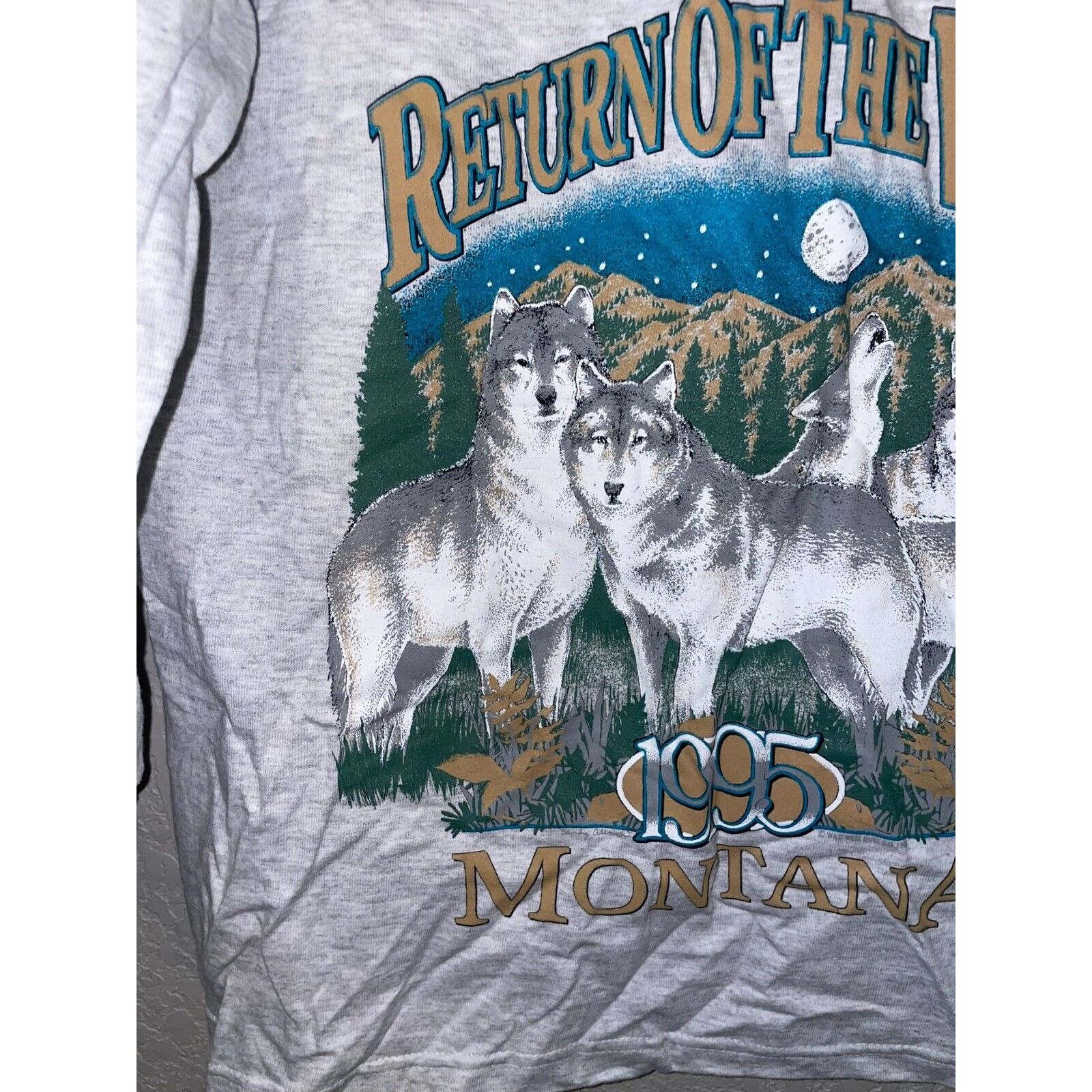 Signal Sport Vintage Test Print Long Sleeve Shirt Nature Tee Grand Canyon Size US L / EU 52-54 / 3 - 10 Thumbnail