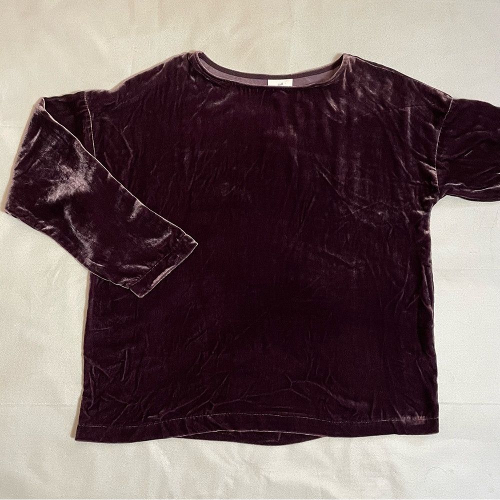 J. Jill NWT New $199 J. Jill Rayon Silk Velvet Long Sleeve Dark Fig Size M / US 6-8 / IT 42-44 - 6 Thumbnail