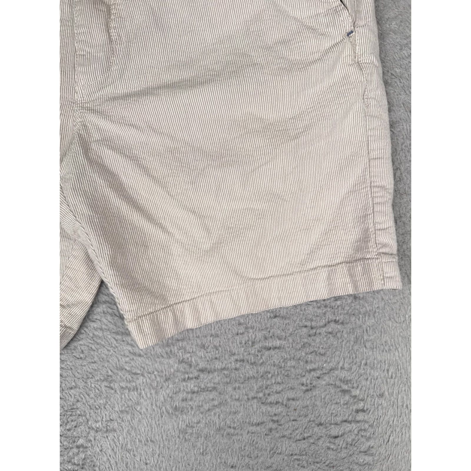 Tommy Bahama Tommy Bahama Shorts Mens 36 Beige Striped Cotton Chino Flat Front Zip Pockets Casual Summer Mens Size US 36 / EU 52 - 2 Thumbnail