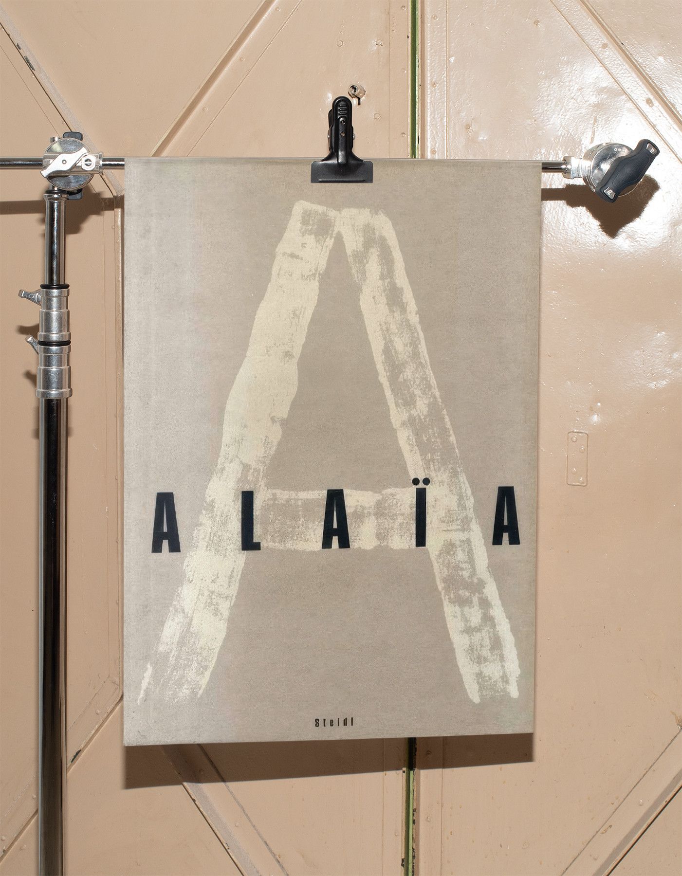 Other Alaia Poster Gift Vintage Book Print Avante Gard Size ONE SIZE - 5 Thumbnail