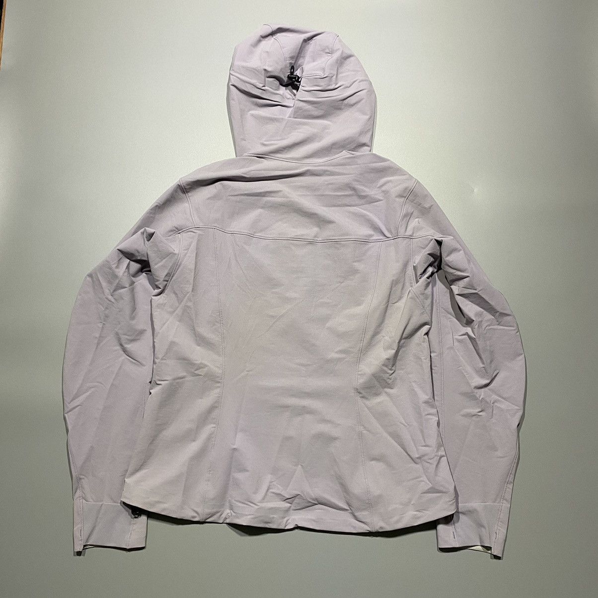 Arc'teryx Gamma LT Hoody Womens Size L / US 10 / IT 46 - 11 Thumbnail