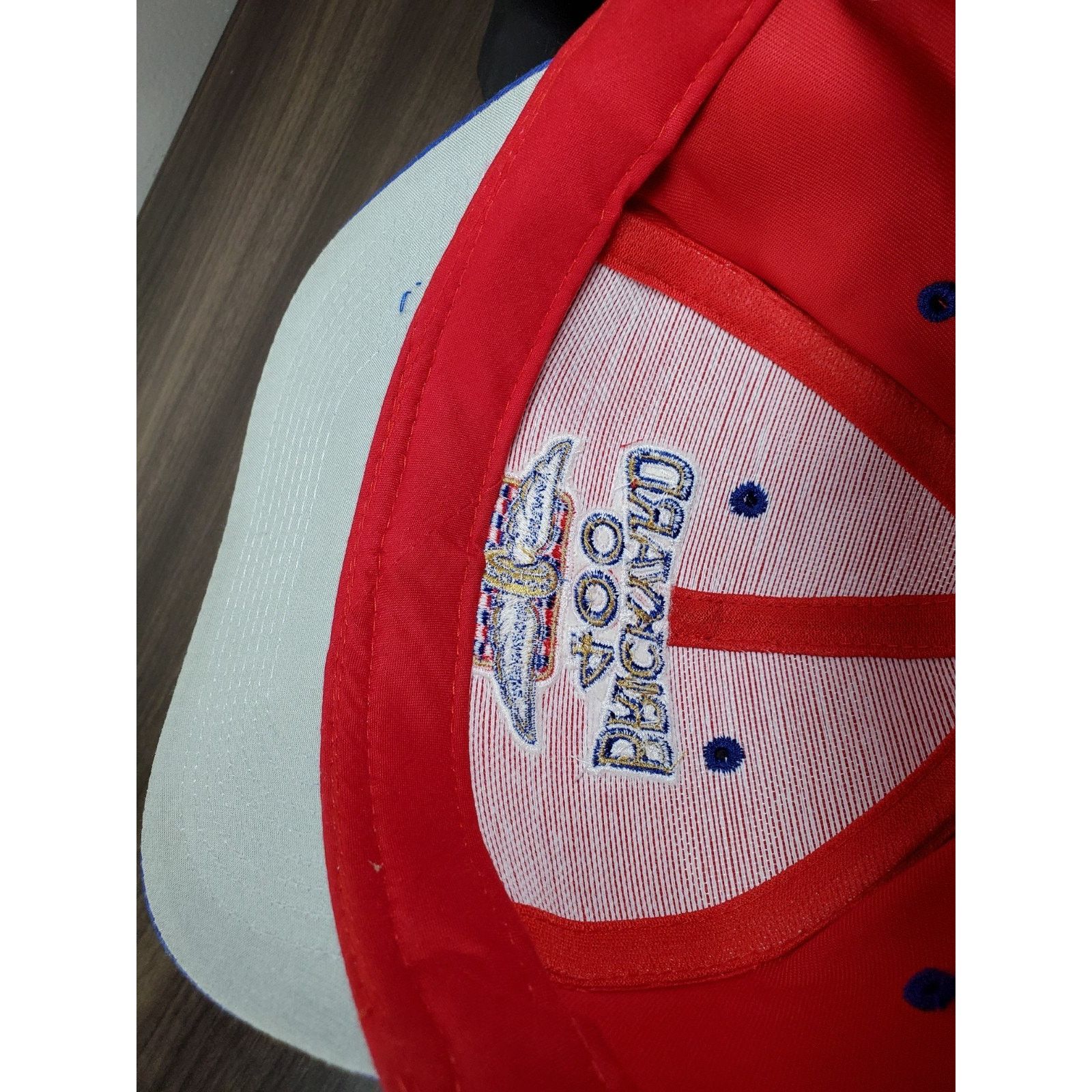 Logo 7 × NASCAR 1996 Brickyard 400 Snapback Cap Hat LOGO 7 Racing Indy Size ONE SIZE - 11 Thumbnail