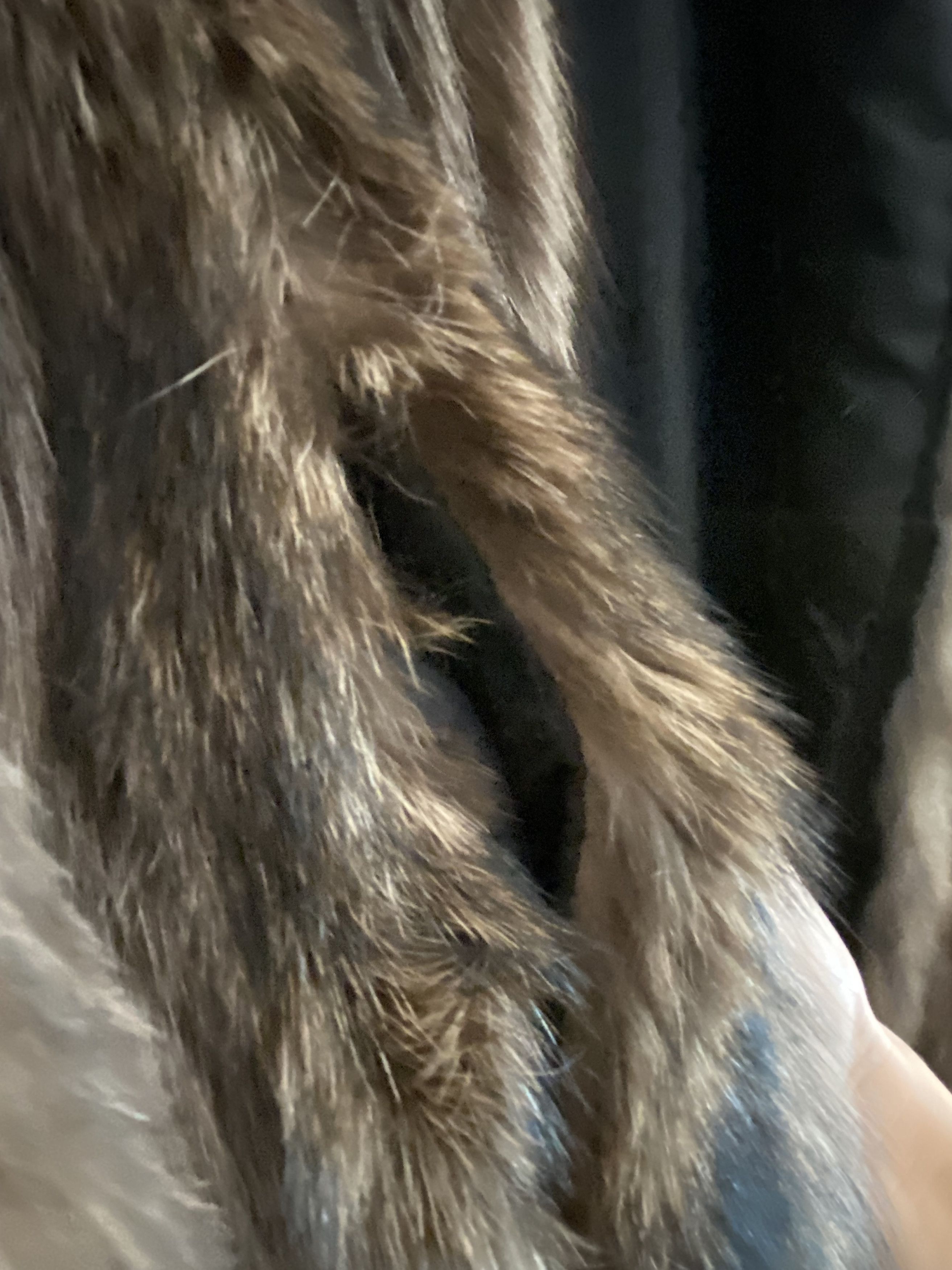 Other Raccoon fur coat Size M / US 6-8 / IT 42-44 - 8 Thumbnail