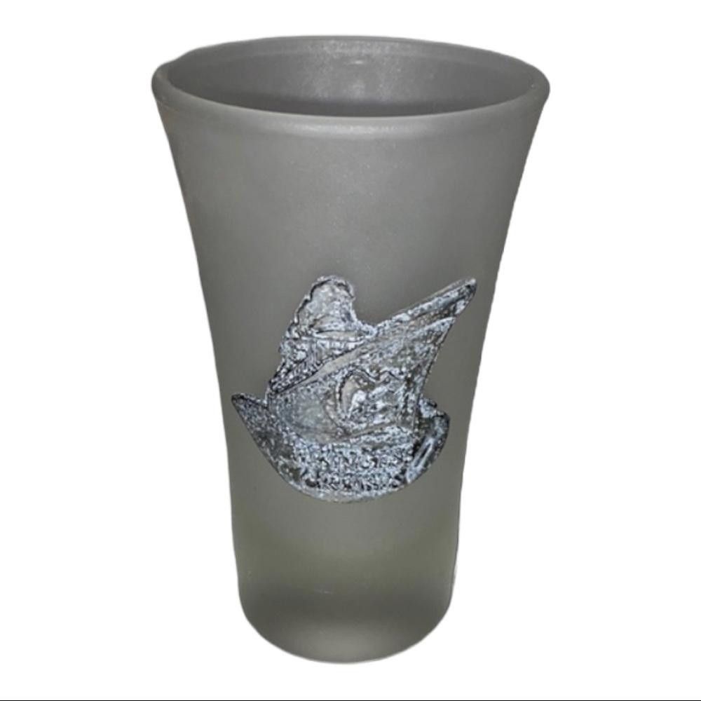 Designer Princess Cruise Fogged Shot Glass Size ONE SIZE - 1 Thumbnail