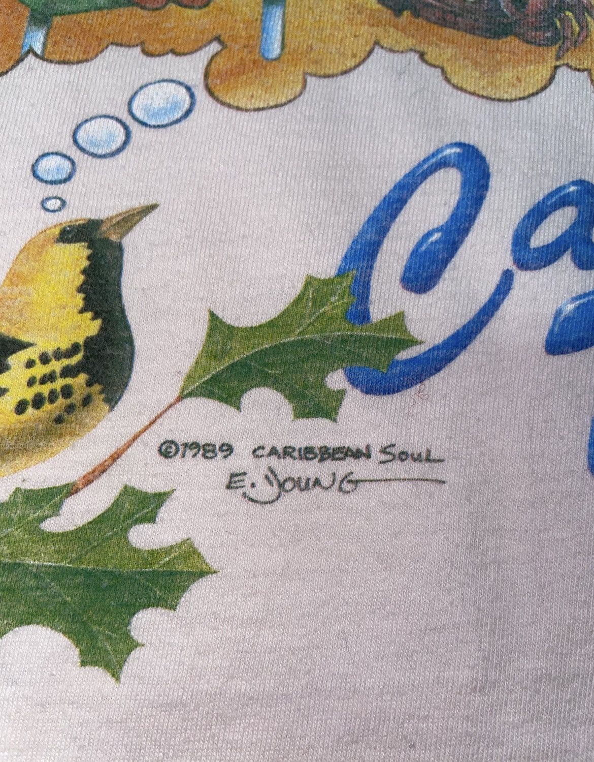 Vintage Vintage 1989 Caribbean Soul Tee Shirt Size XL Size US XL / EU 56 / 4 - 7 Thumbnail