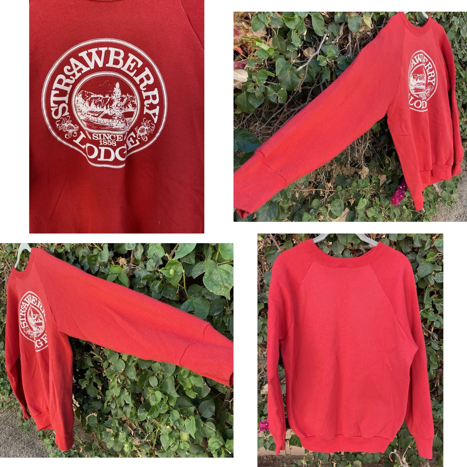 Fruit Of The Loom VINTAGE Fruit of the Loom Raglan Sweatshirt Graphic Print Red Strawberry Lodge Since 1858 L Men Shirt pullover Size US L / EU 52-54 / 3 - 8 Thumbnail
