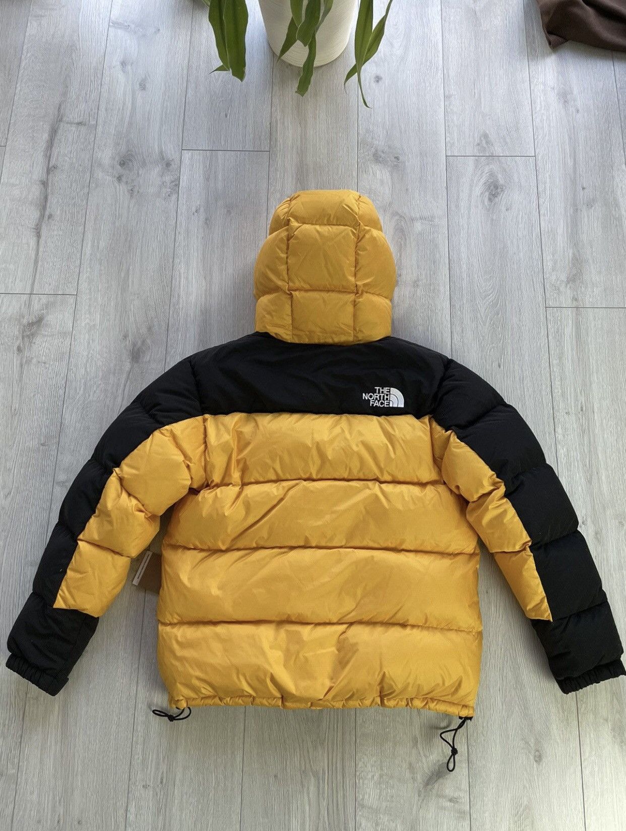 The North Face The North Face HMLYN Down parka summit Gold Size US M / EU 48-50 / 2 - 4 Thumbnail