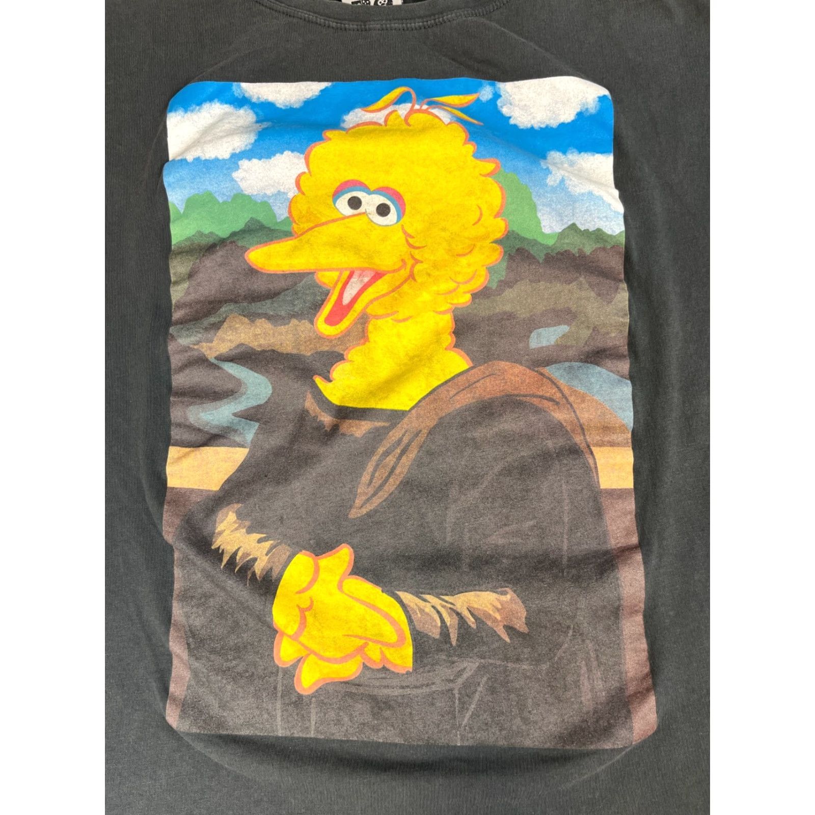 Zara ZARA Sesame Street 50 Years and Counting T-shirt Sz M Women’s Shirt XS? Size M / US 6-8 / IT 42-44 - 3 Thumbnail