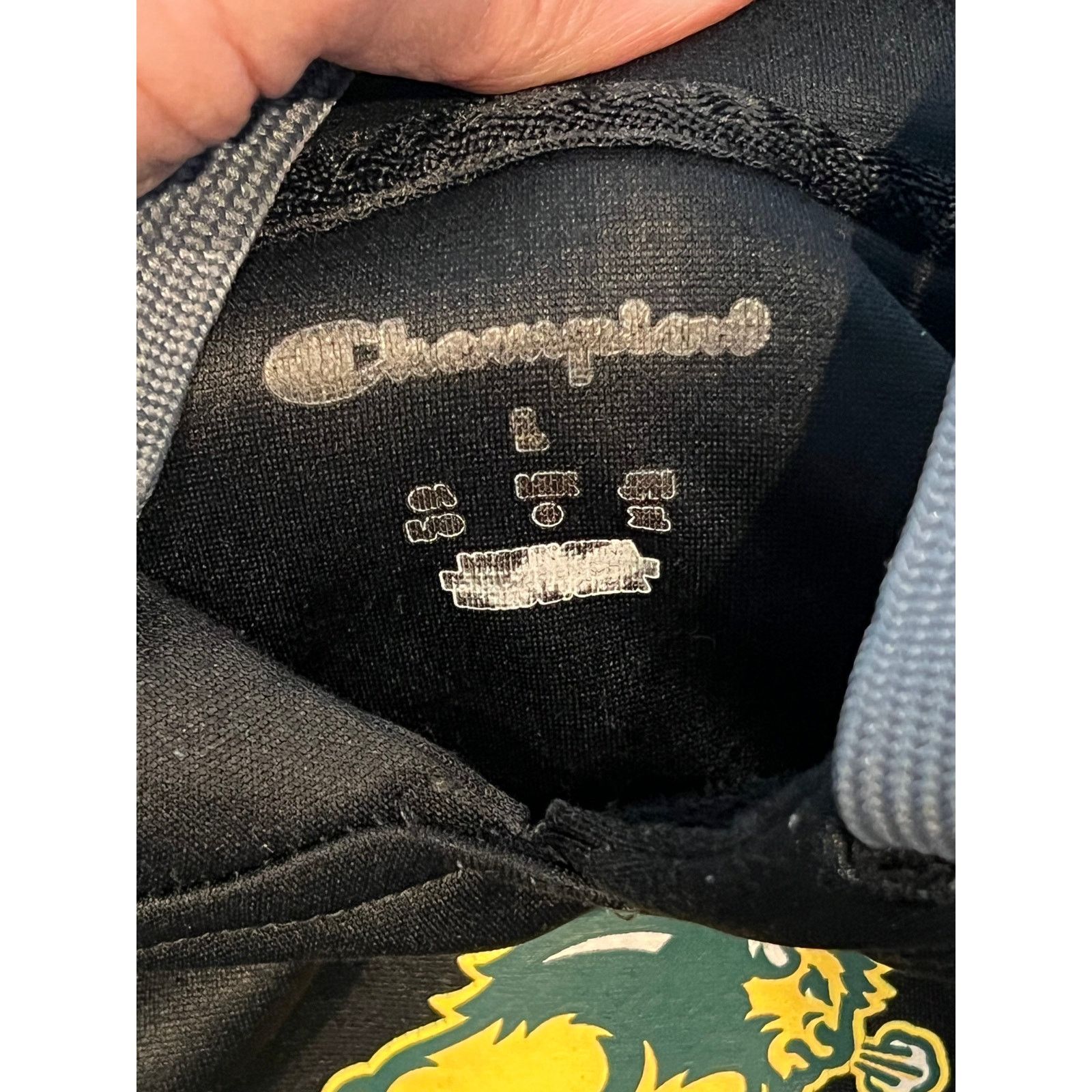 Champion Champion ND State Hoodie, Men's Large Size US L / EU 52-54 / 3 - 3 Thumbnail