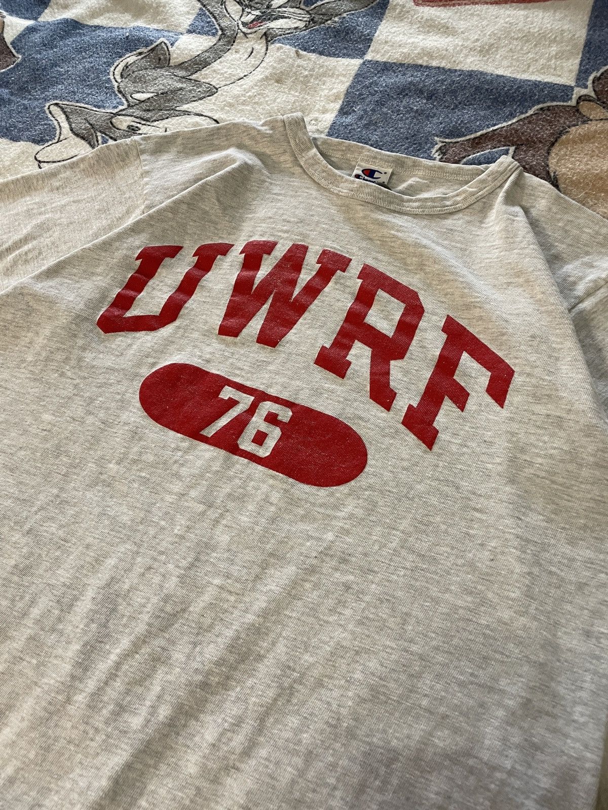 Champion Vintage university Wisconsin river falls tee Size US L / EU 52-54 / 3 - 2 Thumbnail