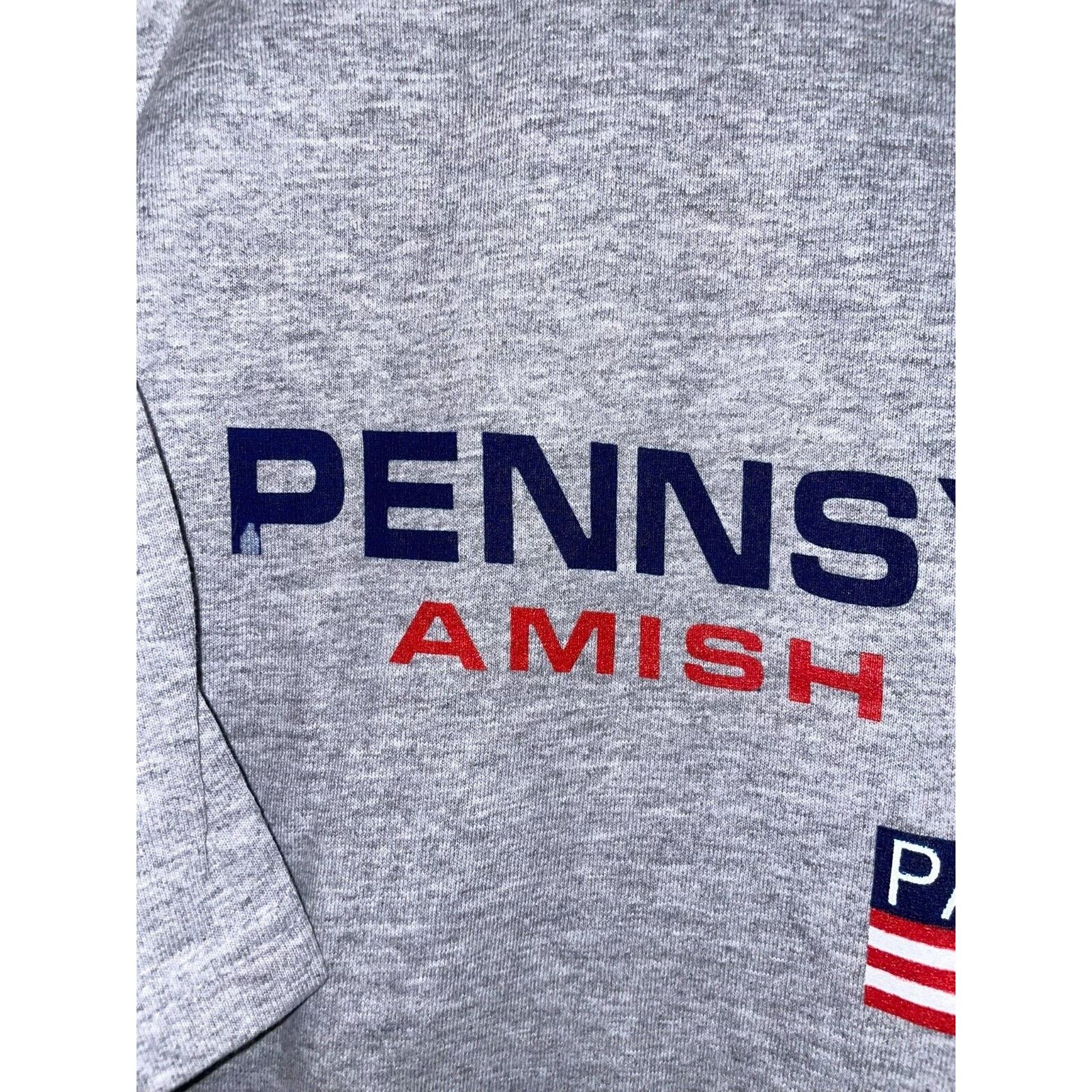 Jerzees Vintage Amish Country Shirt Pennsylvania Gray Tee 90s L Size US L / EU 52-54 / 3 - 3 Thumbnail