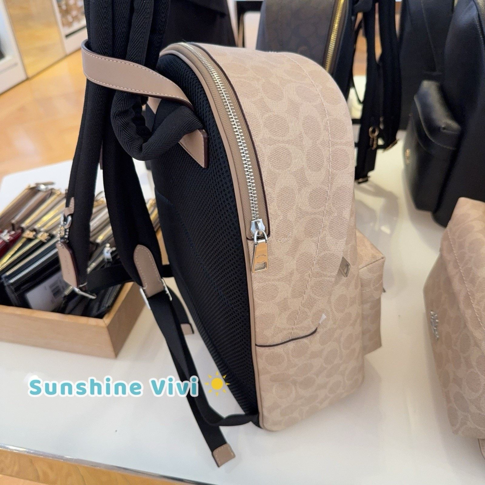 Coach NWT Coach Taylor Small Backpack CDW76 Silver/Sand/Taupe Size ONE SIZE - 6 Thumbnail