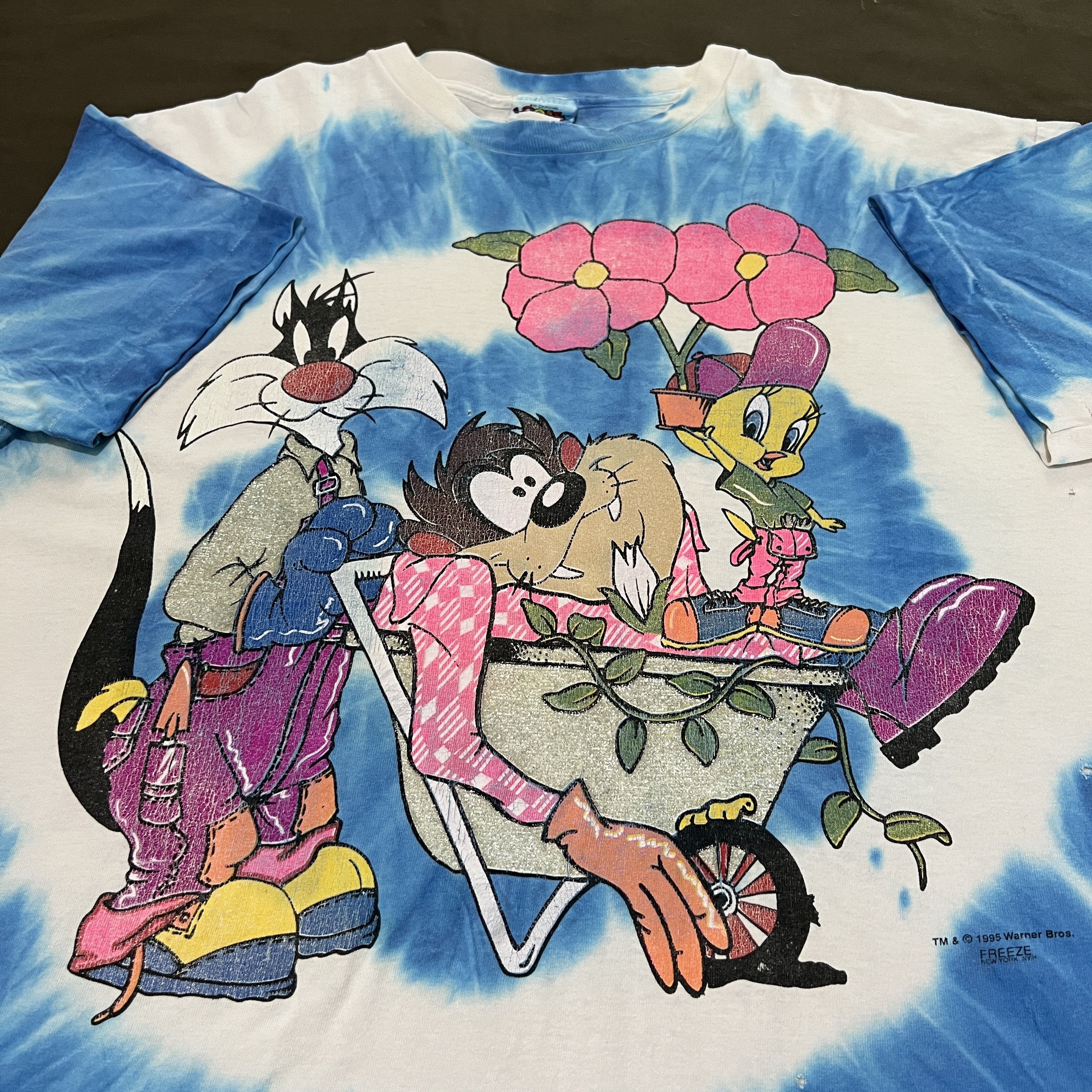 Vintage Vtg 1995 90s Looney Tunes Tee Freeze Tweety Taz Tie Dye