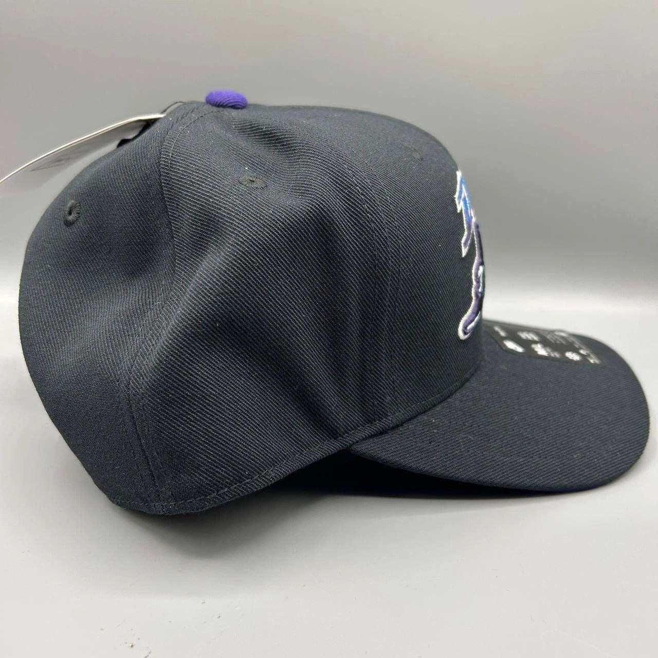 Nike Tampa Bay Devil Rays x Nike Rise Hat M-L Dri-Fit Snap Back Size ONE SIZE - 6 Thumbnail