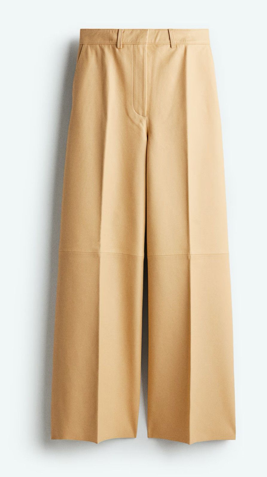 H&M H&M leather pants Size 28" / US 6 / IT 42 - 3 Thumbnail