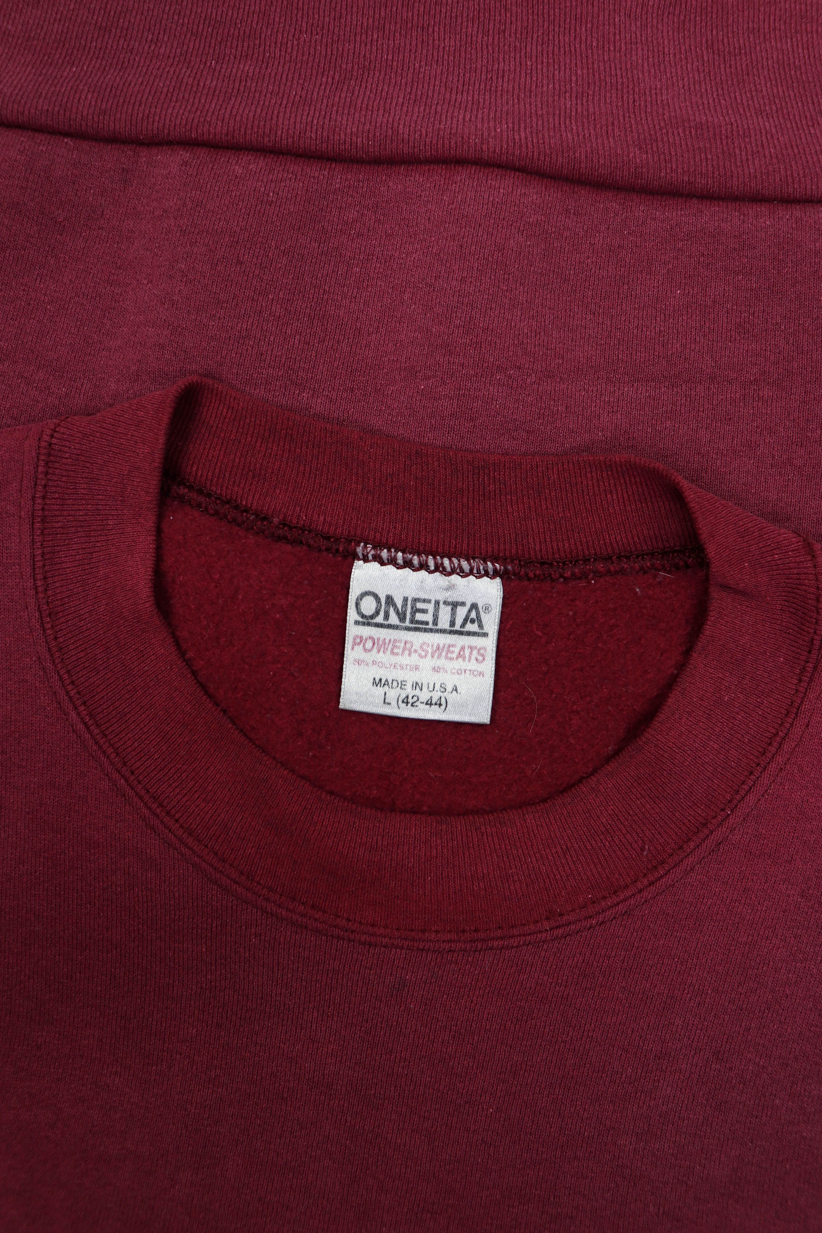 Vintage ONEITA Vintage 90s USA Made Sun Faded Distressed Sweatshirt Size US L / EU 52-54 / 3 - 13 Thumbnail