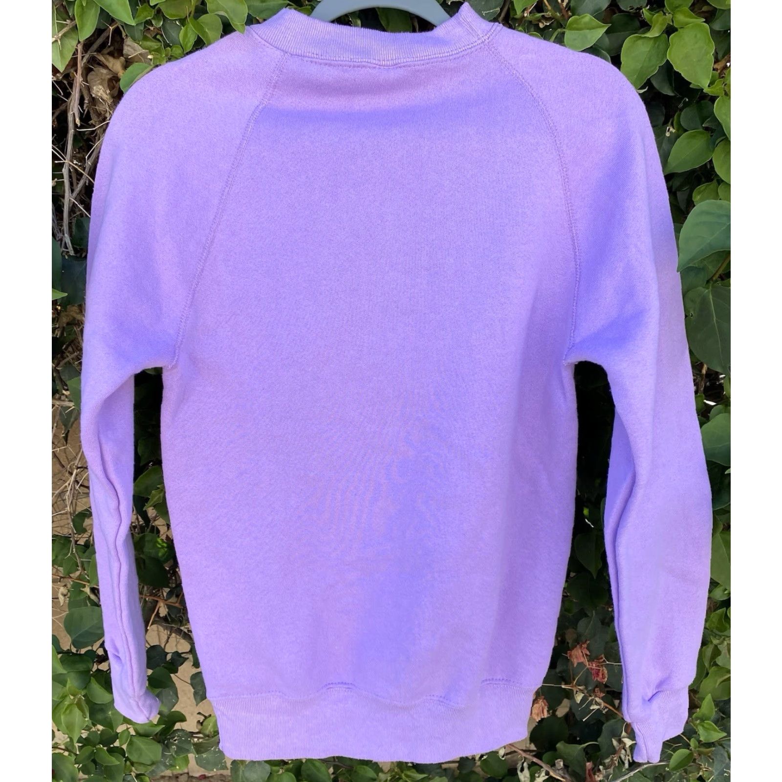 Soffe VINTAGE Soffe UC Irvine UCI Anteaters Raglan Sweatshirt Shirt Unisex Adults S Purple 34-36 University 90s Boys Girls Mens Womens Size US S / EU 44-46 / 1 - 6 Thumbnail