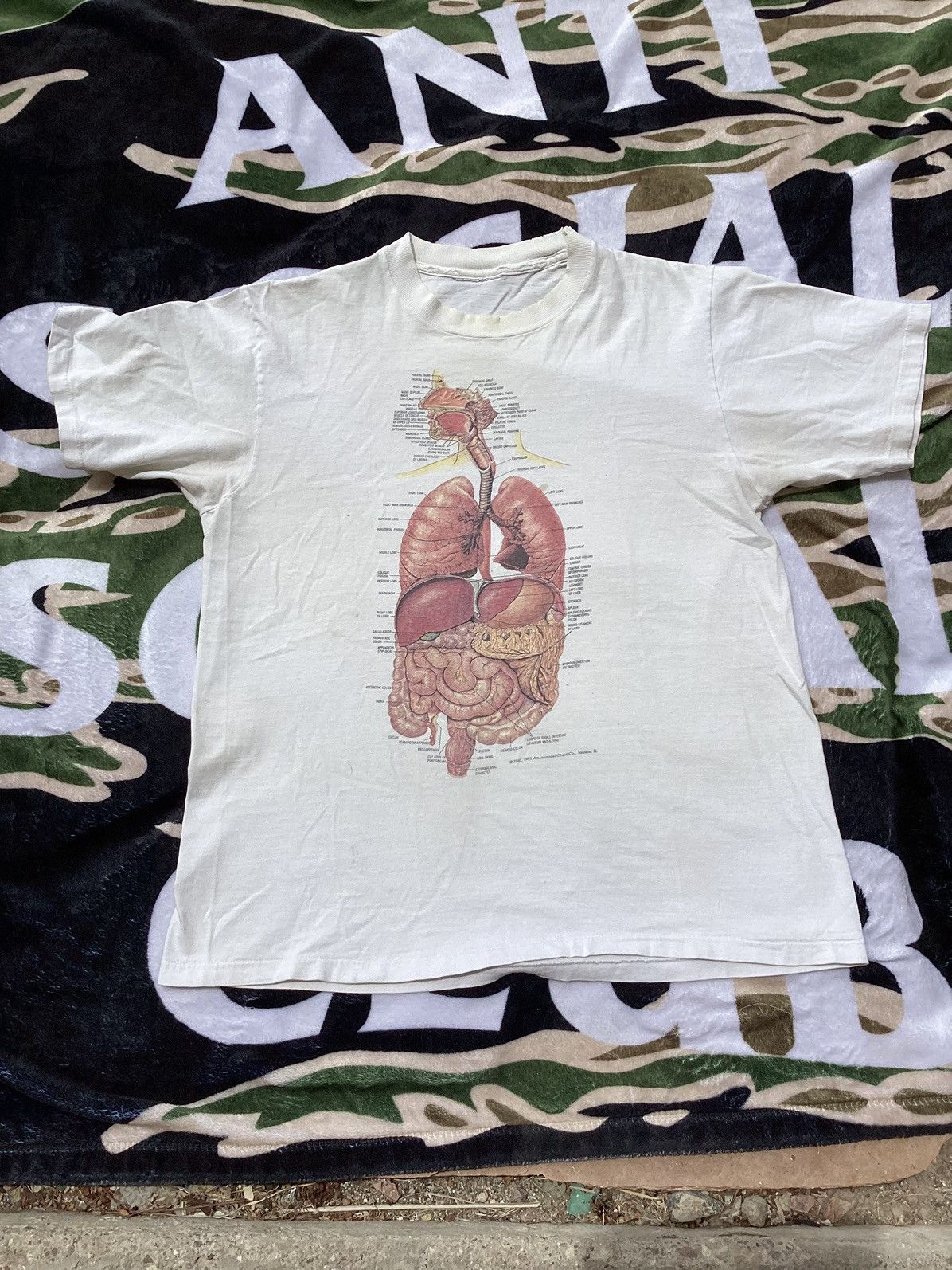 Other × Vintage Vintage 1991 Male organ anatomy chart single stitch T-shirt Size US L / EU 52-54 / 3 - 1 Thumbnail