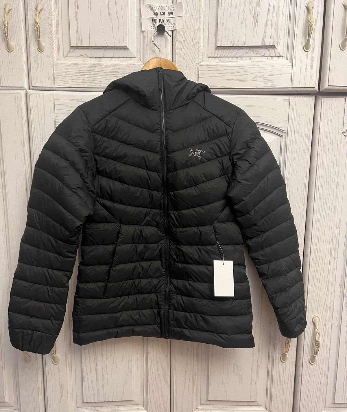 Arc'teryx lightweight goose down hooded down jacket