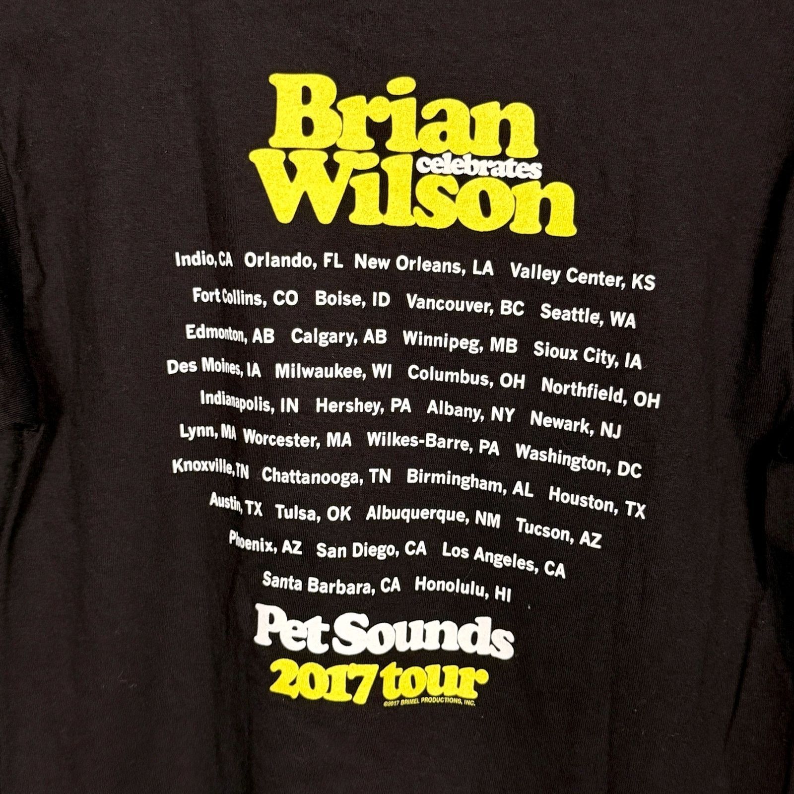 Alstyle Brian Wilson Pet Sounds 2017 Tour T Shirt Men's S Beach Boys Size US S / EU 44-46 / 1 - 5 Thumbnail