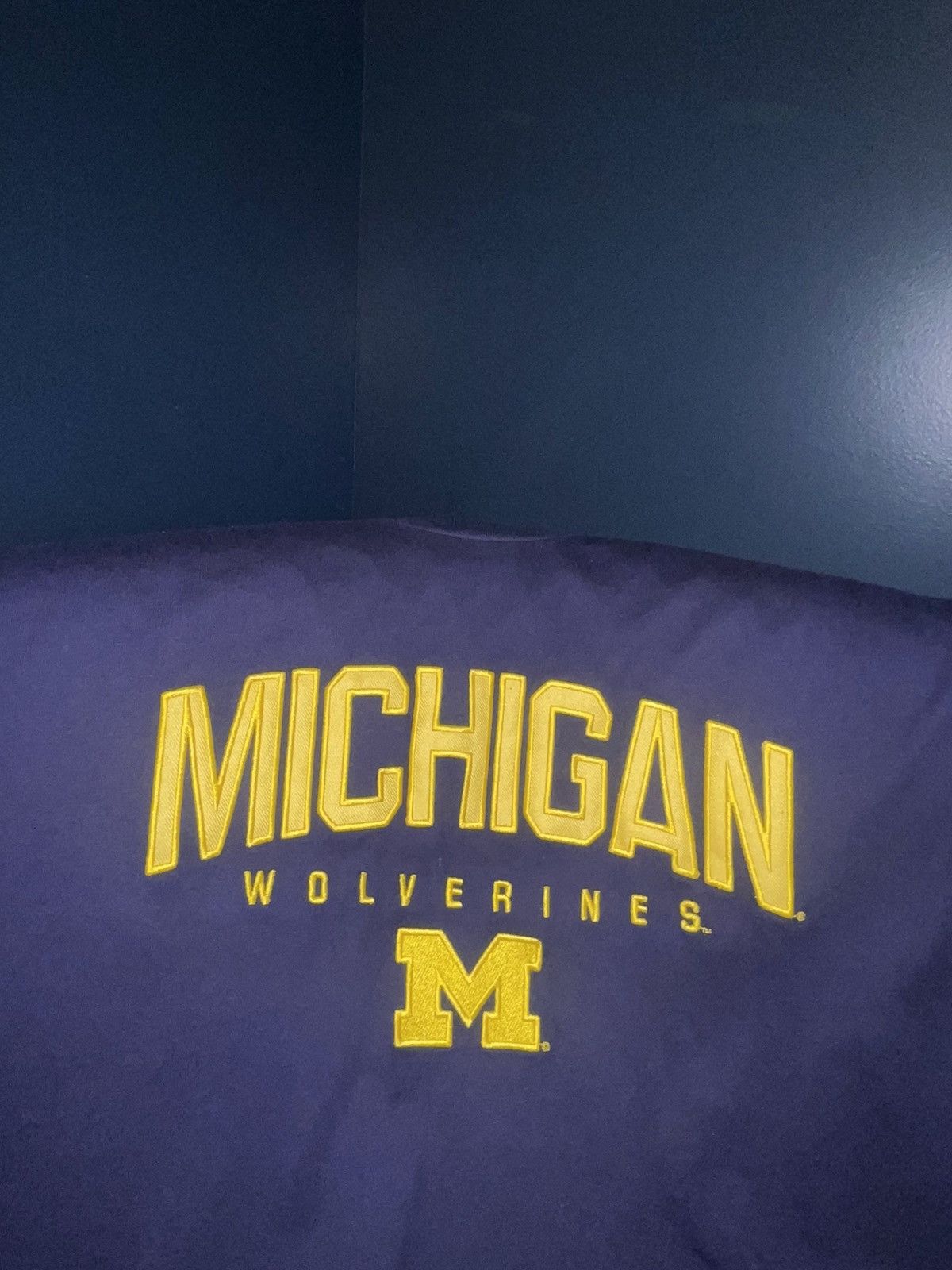 Champion Champion Michigan wolverines Tee Size US XL / EU 56 / 4 - 2 Thumbnail
