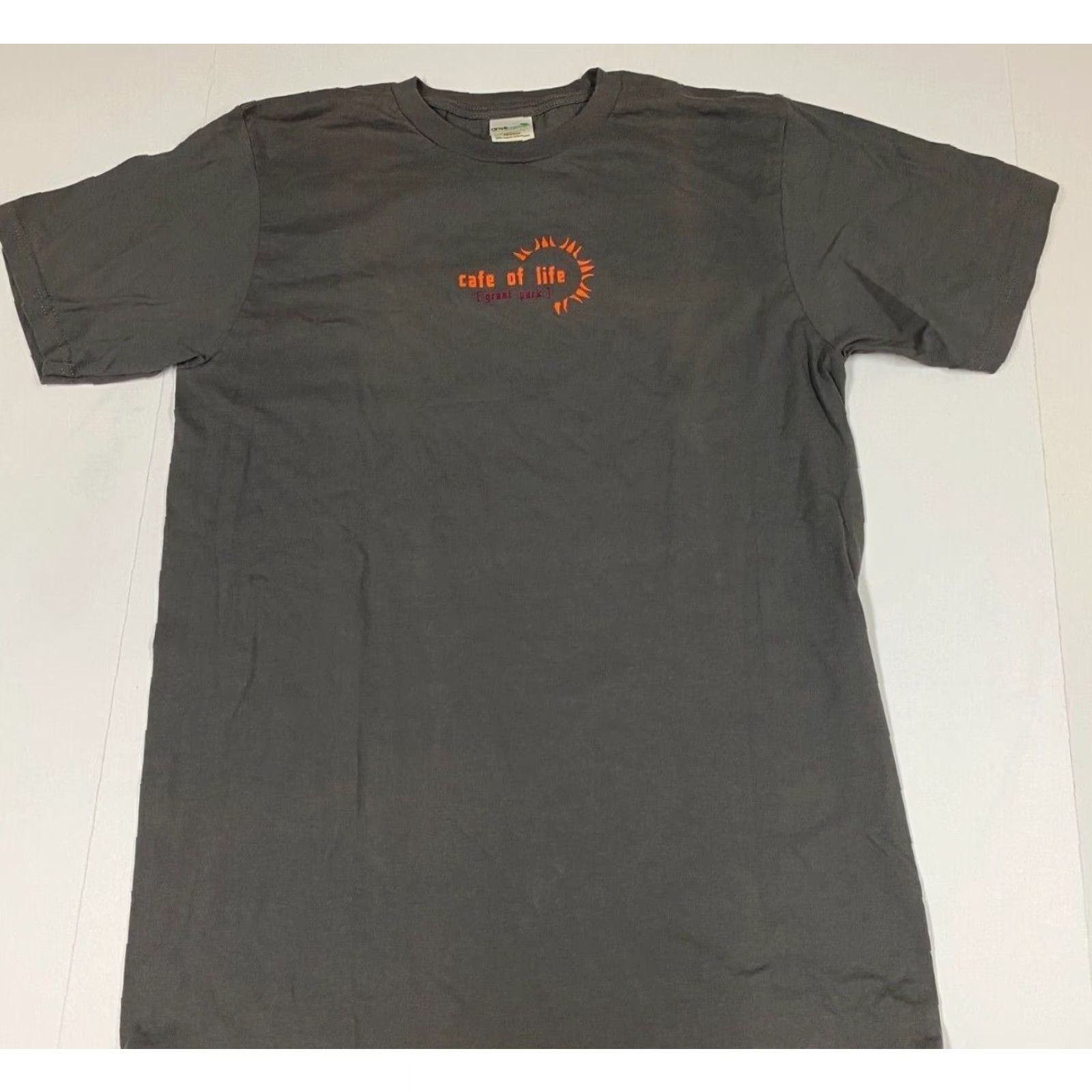 Anvil Grant Park Mens Shirt Medium Anvil T-Shirt Gray Cotton Spandex Short Sleeve Henley Logo Peanuts Classic Vintage: No Mens Size US M / EU 48-50 / 2 - 2 Thumbnail
