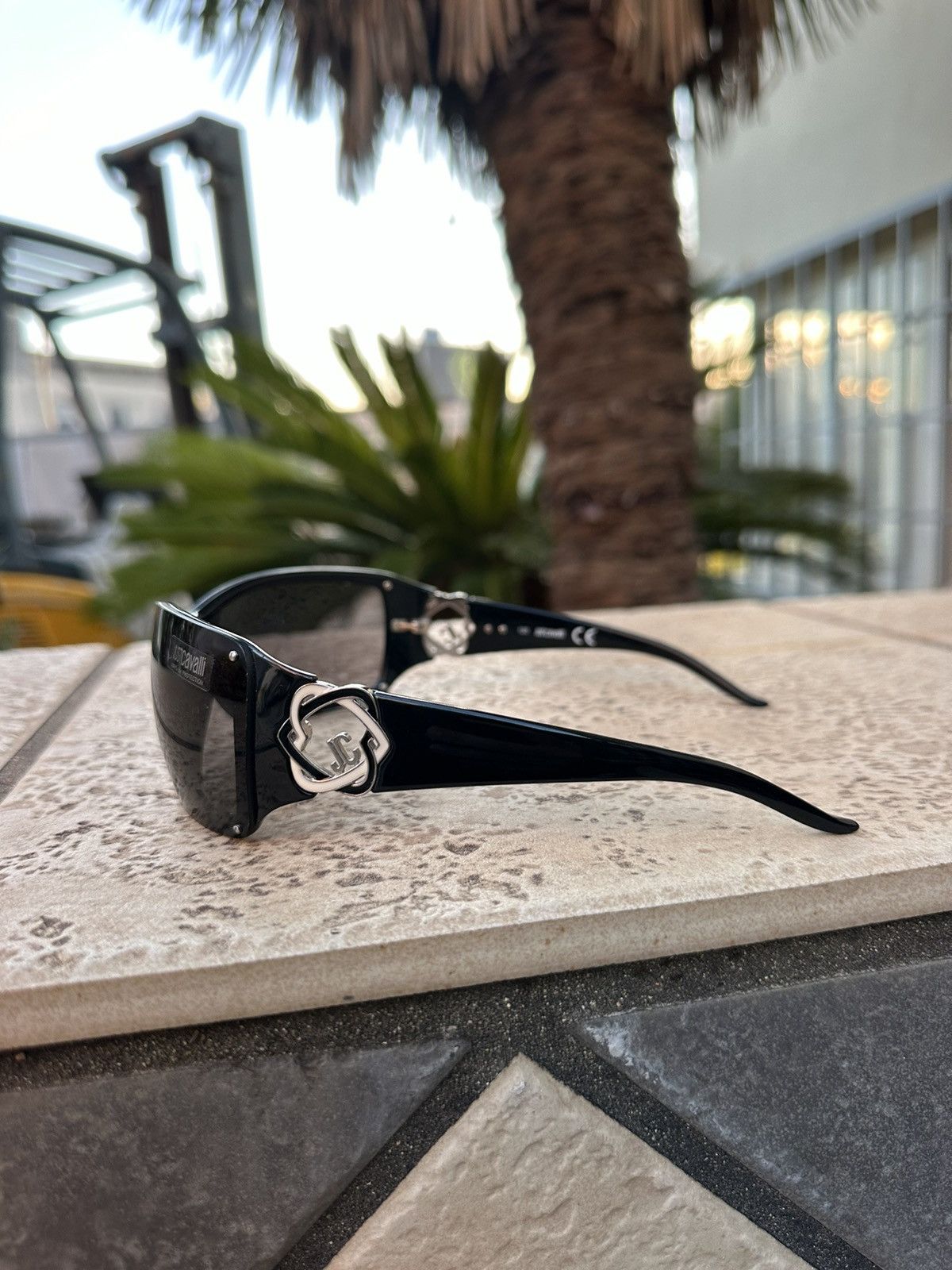 Just Cavalli Sunglasses JC213S Black