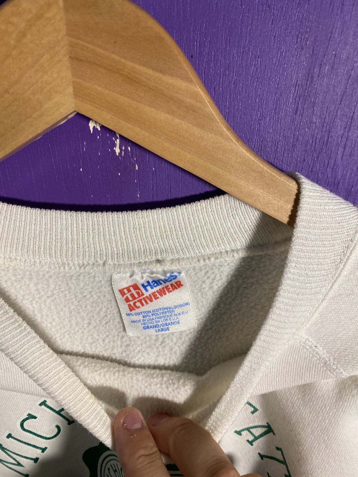 Hanes Vintage 90s Michigan state crest logo crewneck Size US M / EU 48-50 / 2 - 4 Thumbnail