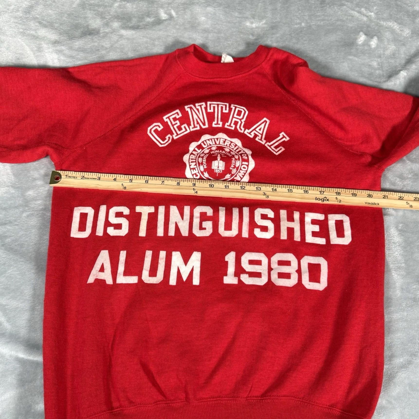 Vintage VINTAGE Central University Of Iowa Sweatshirt Mens L Size US M / EU 48-50 / 2 - 7 Thumbnail