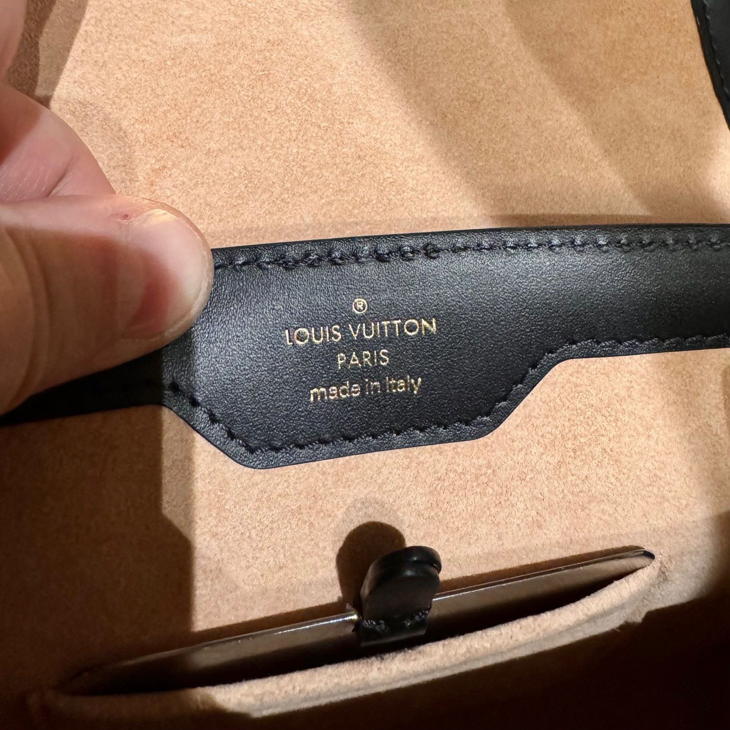 Louis Vuitton Monogram Wood Trianon PM Bag