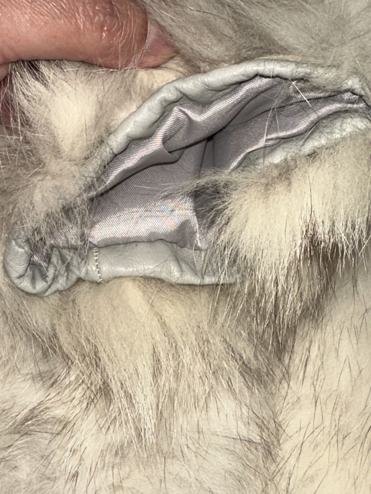 Sagafurs VTG Saga Fox Norway Fur Made In Korea Genuine Blue Fox READ Size S / US 4 / IT 40 - 6 Thumbnail