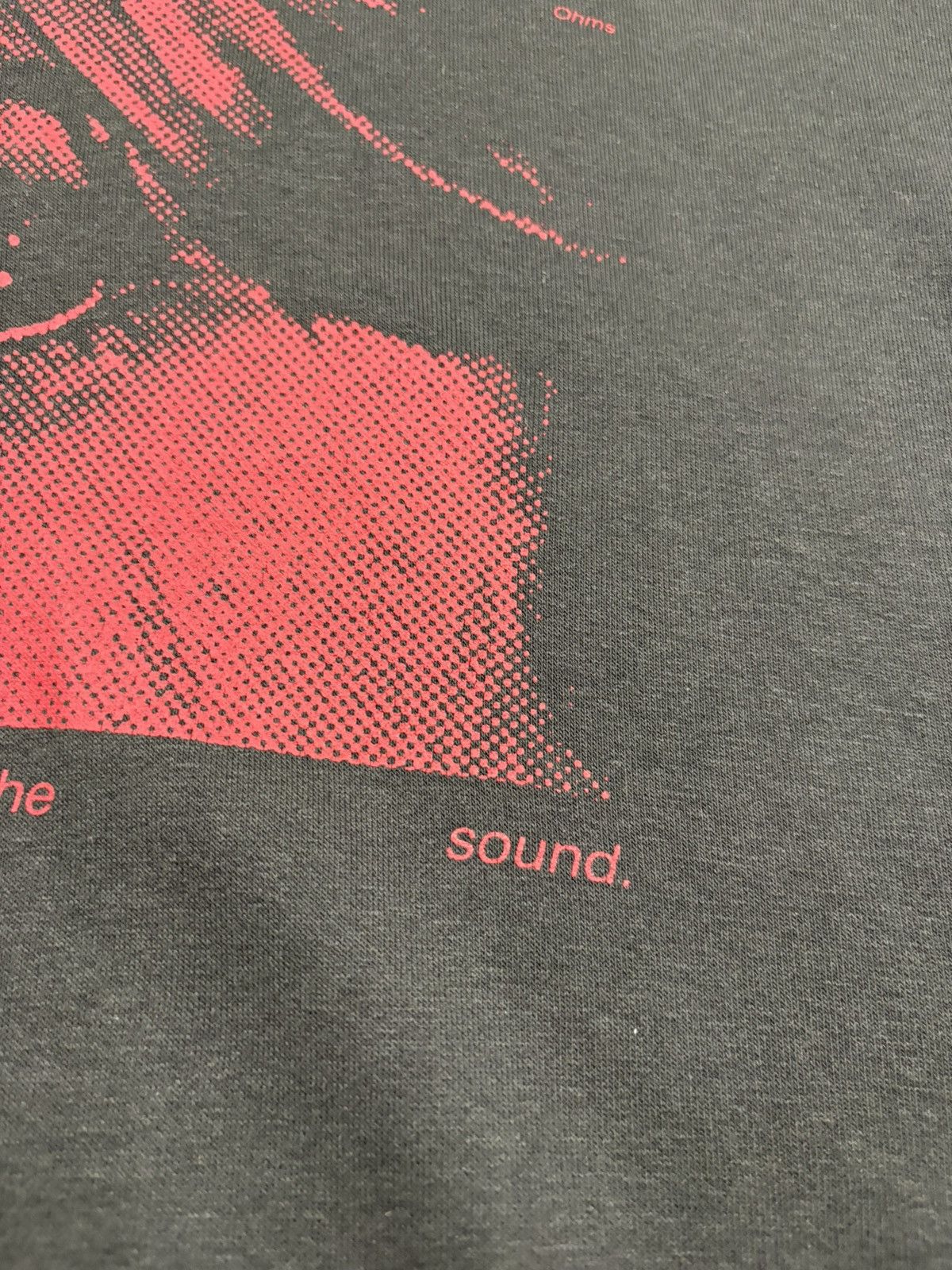 Band Tees Deftones Ohms 2023 Track Fullover Merch Hoodie Boxy Fit Y2K Size US M / EU 48-50 / 2 - 8 Thumbnail