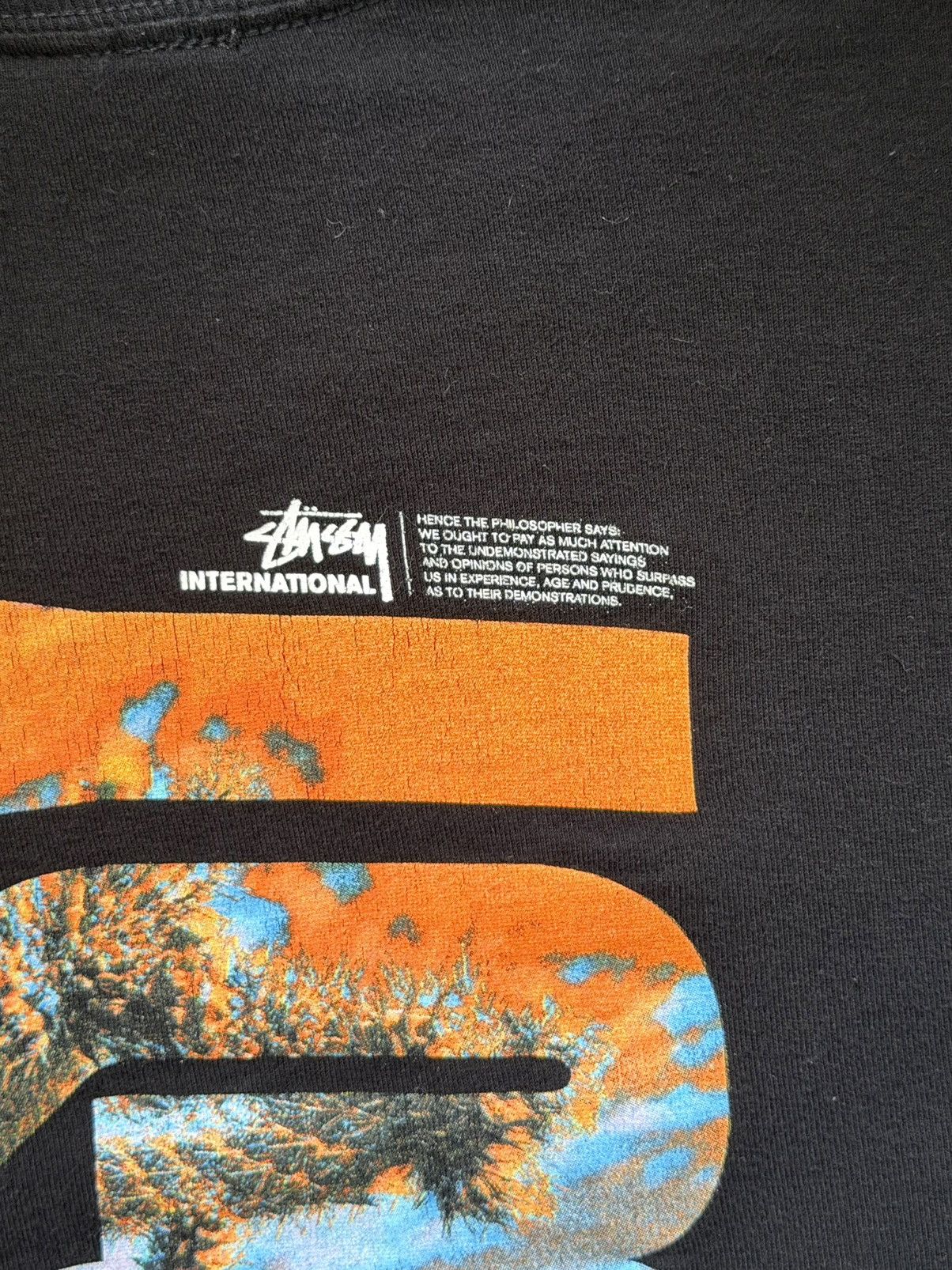 Stussy Black Stüssy Dessert Sky T-Shirt Size US M / EU 48-50 / 2 - 4 Thumbnail