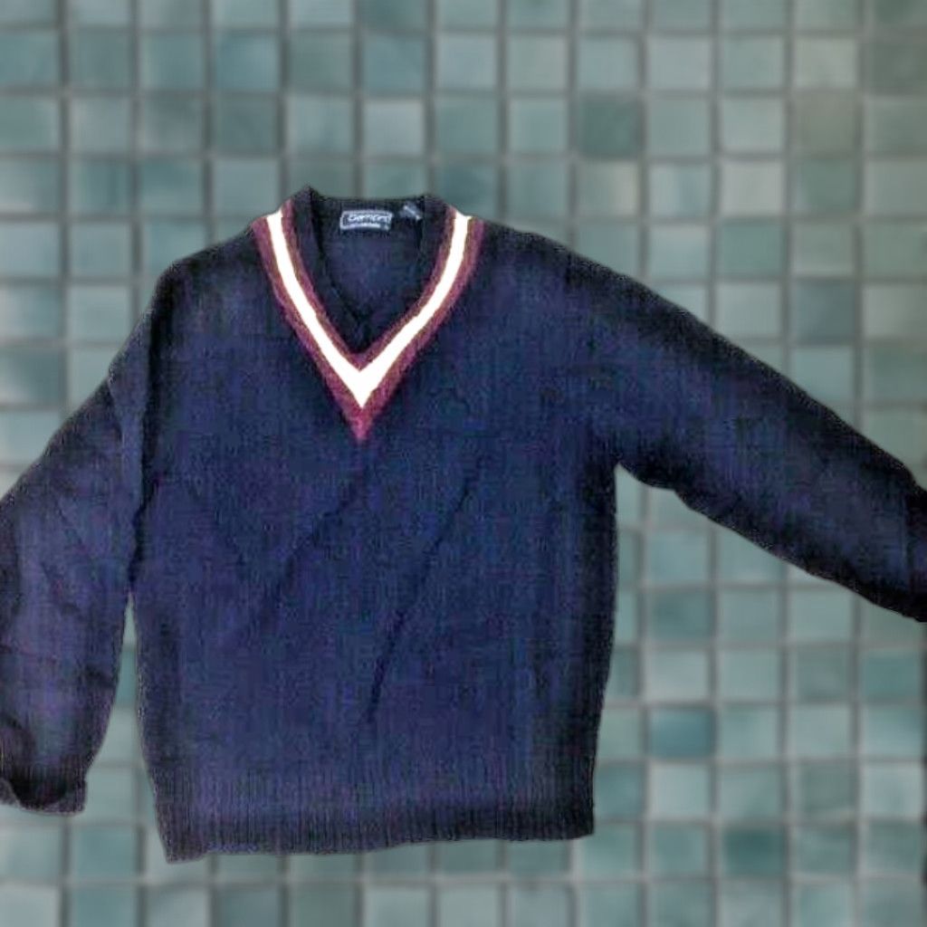 Vintage Vintage Damon Men’s Lambswool V-Neck Pullover Sweater M Navy Winter Casual Size US M / EU 48-50 / 2 - 1 Thumbnail