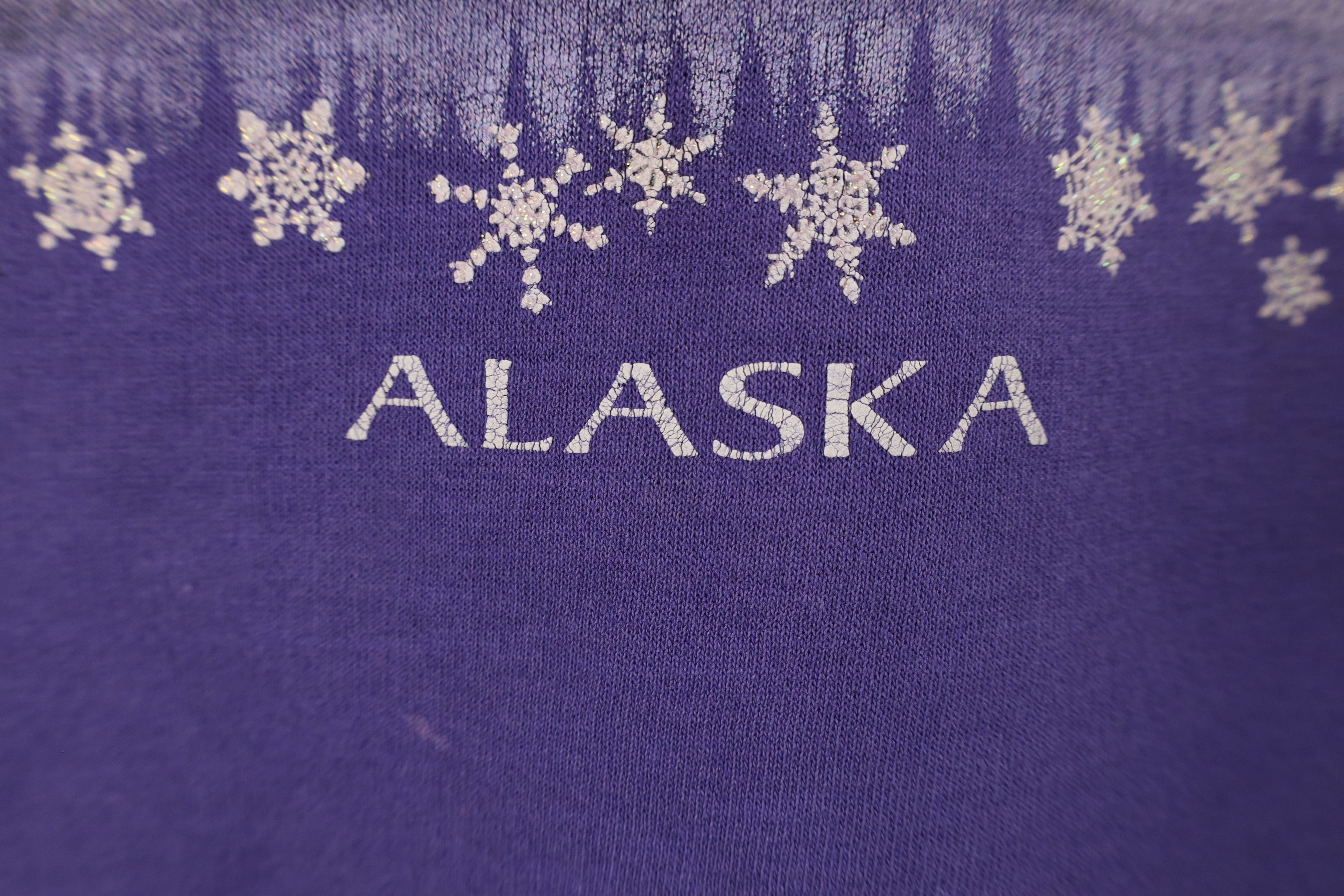 Vintage Vintage 90s Streetwear Alaska Polar Bear Sweatshirt Size L / US 10 / IT 46 - 6 Thumbnail