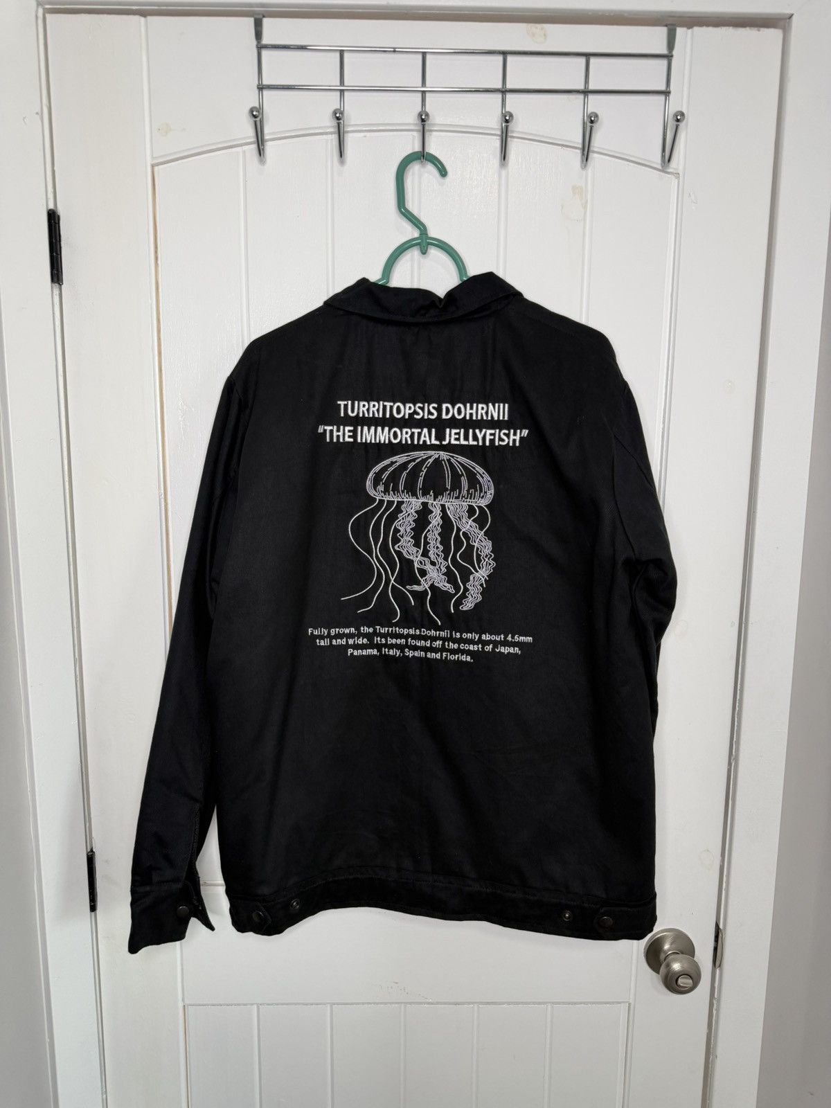 Other Free From DeathRecycleLifeJacketNationalGeographicSizeMedium Size US M / EU 48-50 / 2 - 2 Thumbnail