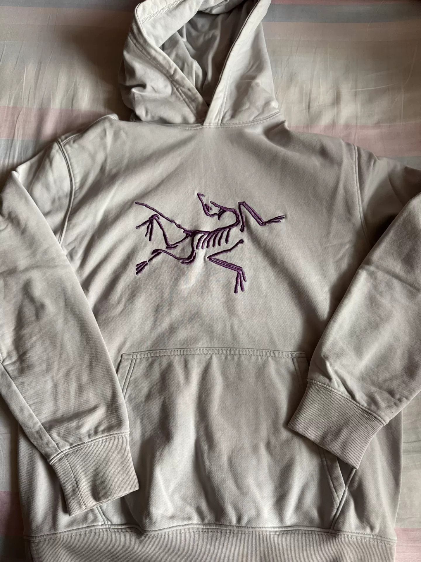 Arc'teryx arcteryx palace logo print hooded sweatshirt Size US M / EU 48-50 / 2 - 1 Thumbnail