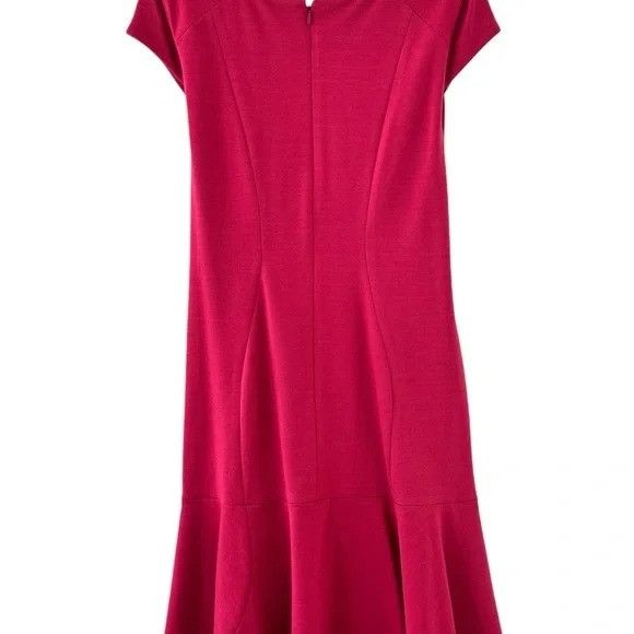 Other New Gravitas Elegant Fit and Flare Pink Dress with Built-in Size XL / US 12-14 / IT 48-50 - 4 Thumbnail