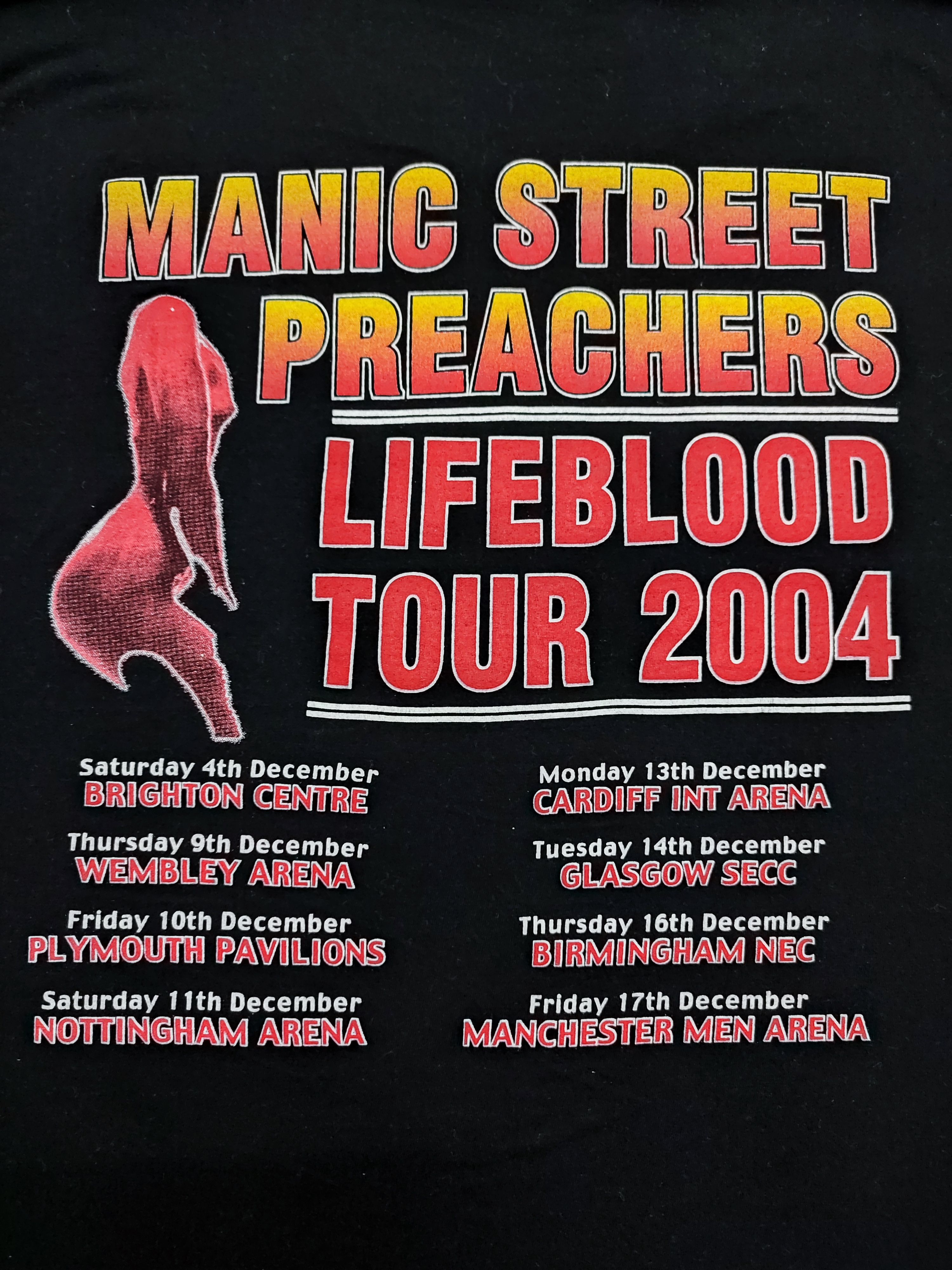 Vintage 2000s Manic Street Preachers Live Blood Tour Tee Size US L / EU 52-54 / 3 - 9 Thumbnail