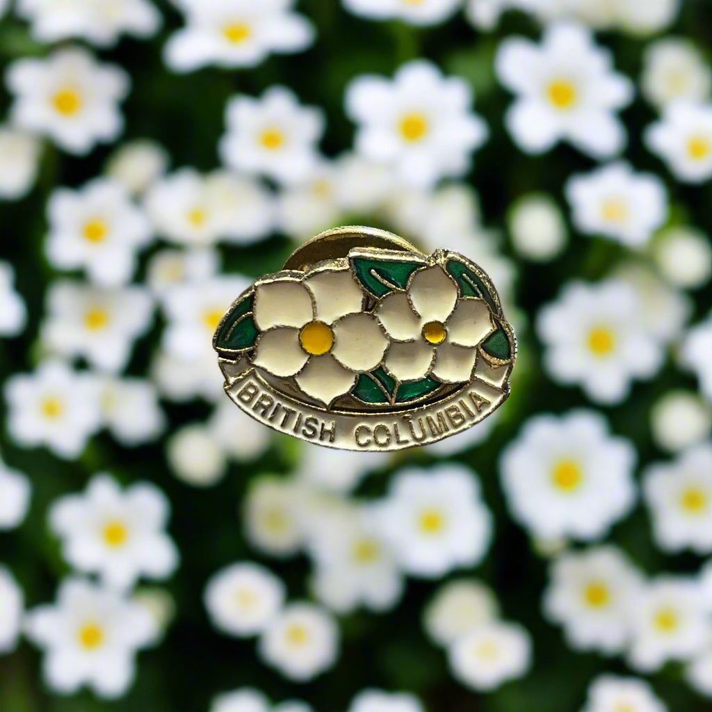 Vintage British Columbia Canada Daisy Flower Dogwood Enameled Brooch Size ONE SIZE - 1 Thumbnail