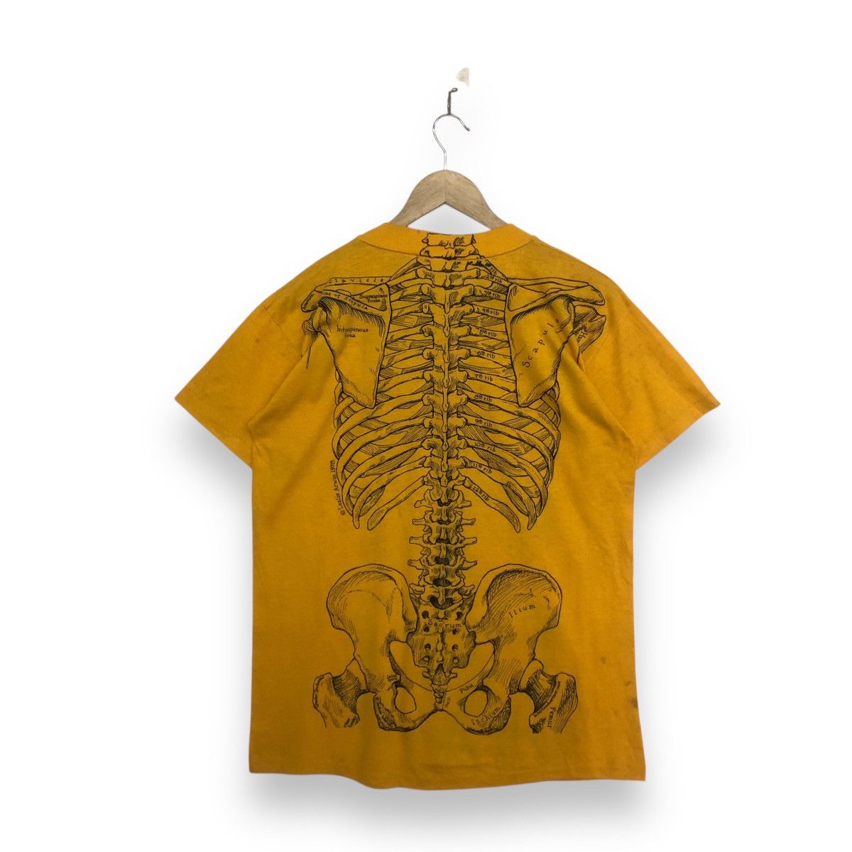 Art Comes First VINTAGE ART LESLIE ARWIN 1978 ANATOMY SKULL BONES TSHIRT Size US L / EU 52-54 / 3 - 2 Thumbnail