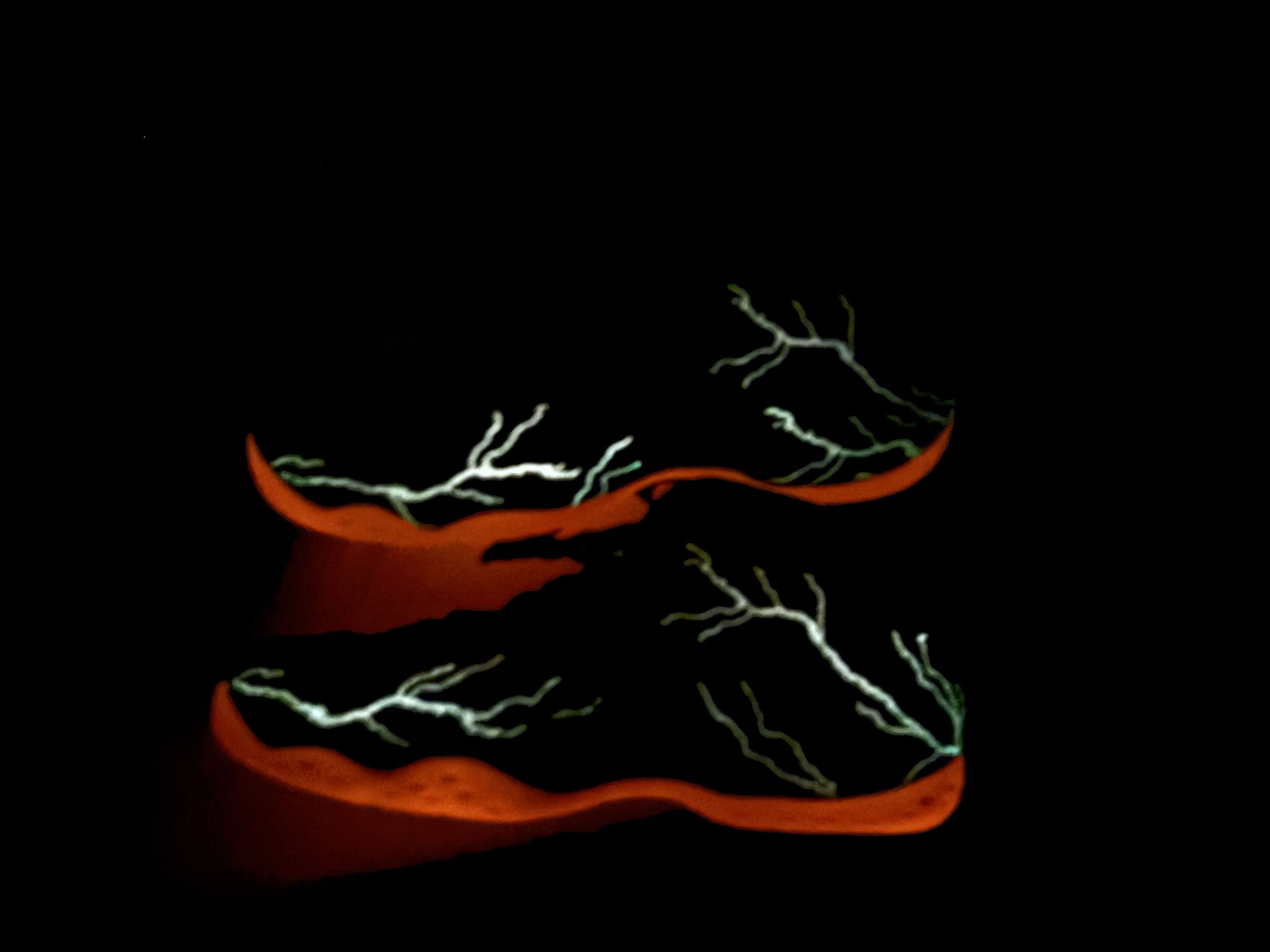 Nike Nike Air Foamposite One PRM Stranger Things 13 IR7336-001 Size US 13 / EU 46 - 17 Thumbnail