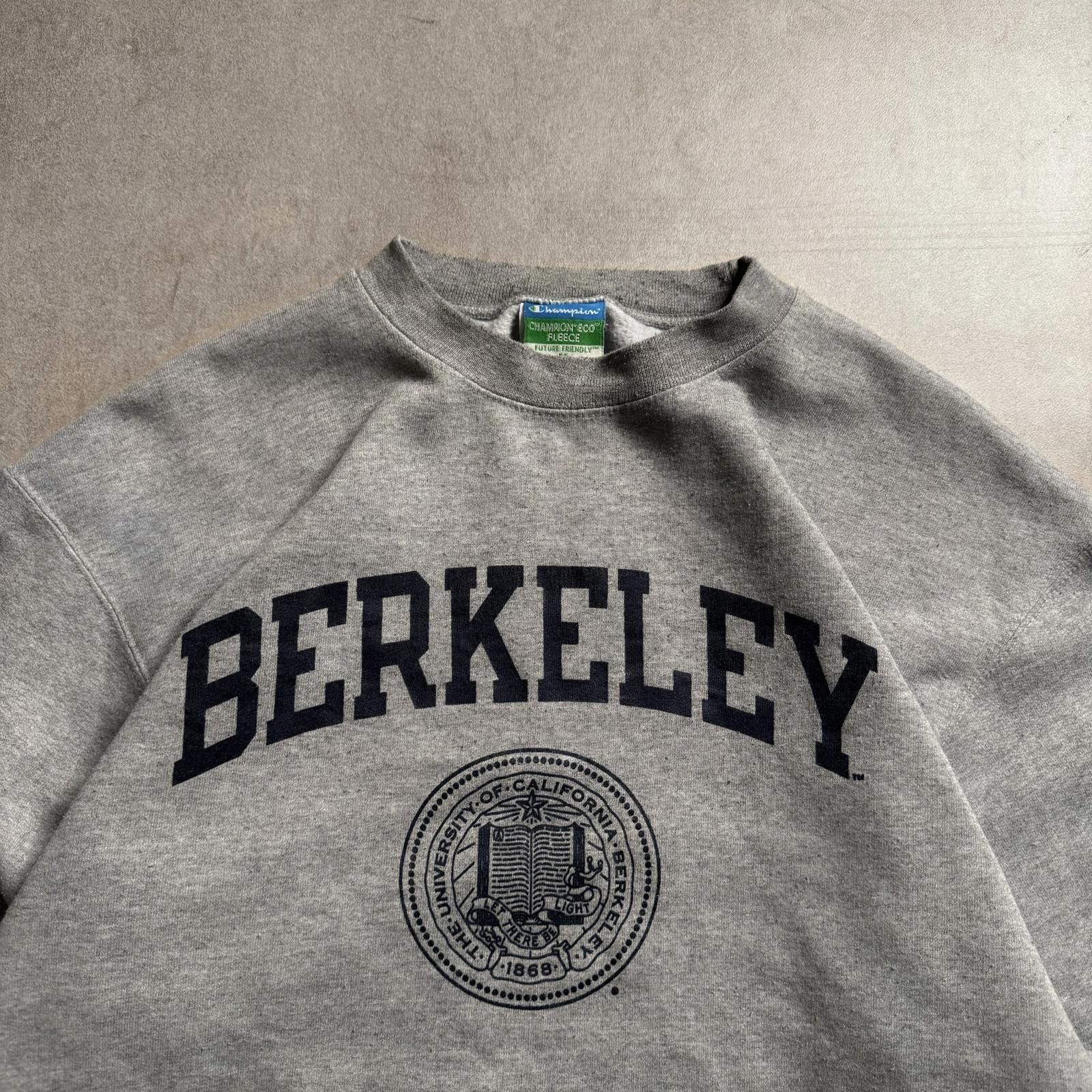 Champion 2000s Champion Eco Fleece Berkeley Grey Sweater - M Size US M / EU 48-50 / 2 - 4 Thumbnail