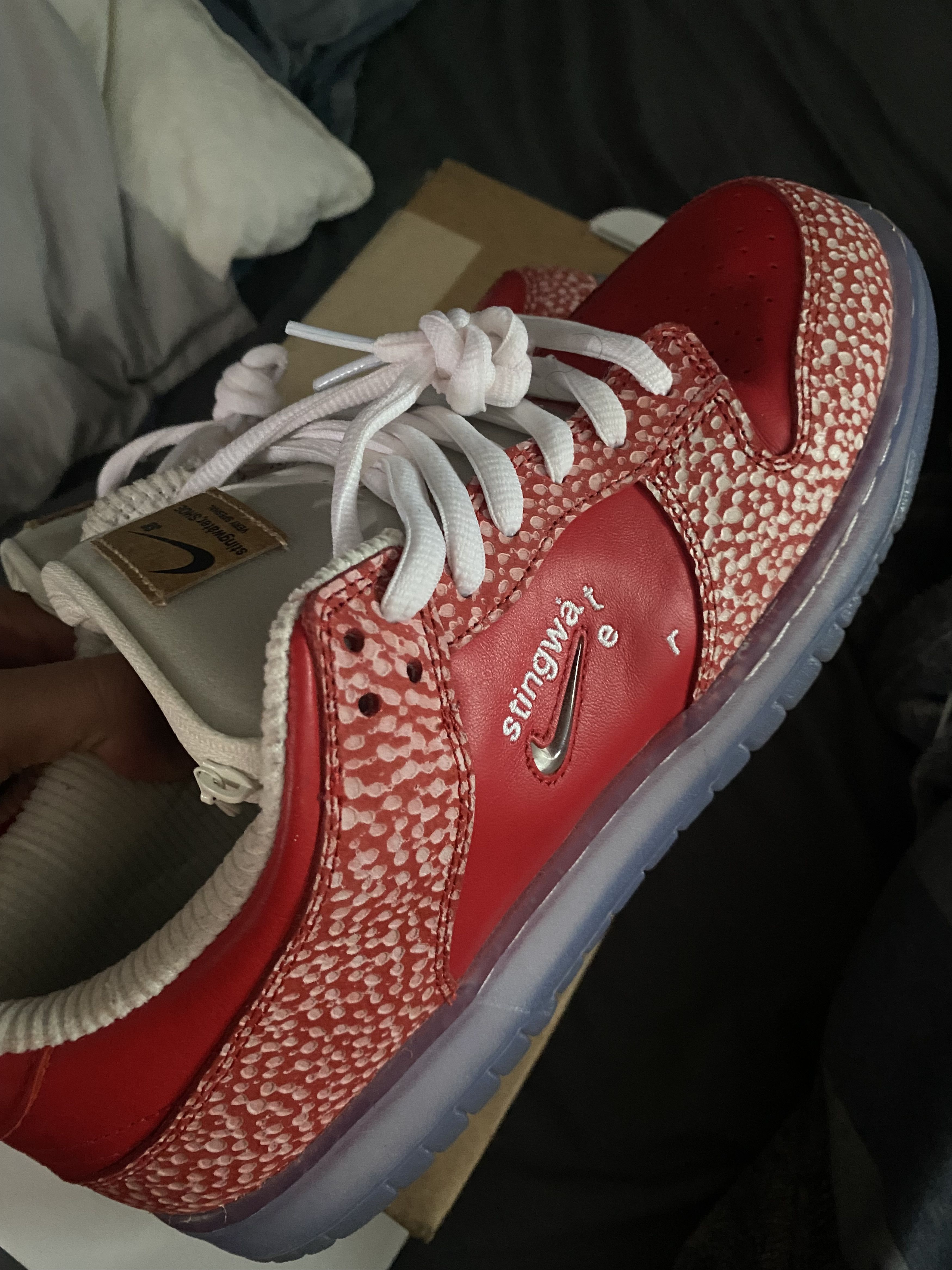 image of Nike Stingwater Magic Mushroom Sb Shoes in Red, Men's (Size 12)