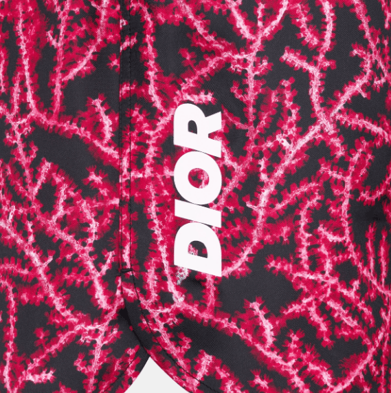 Dior o1w1db10525 483C10 Italic Short in Black/Red Size US 30 / EU 46 - 3 Thumbnail