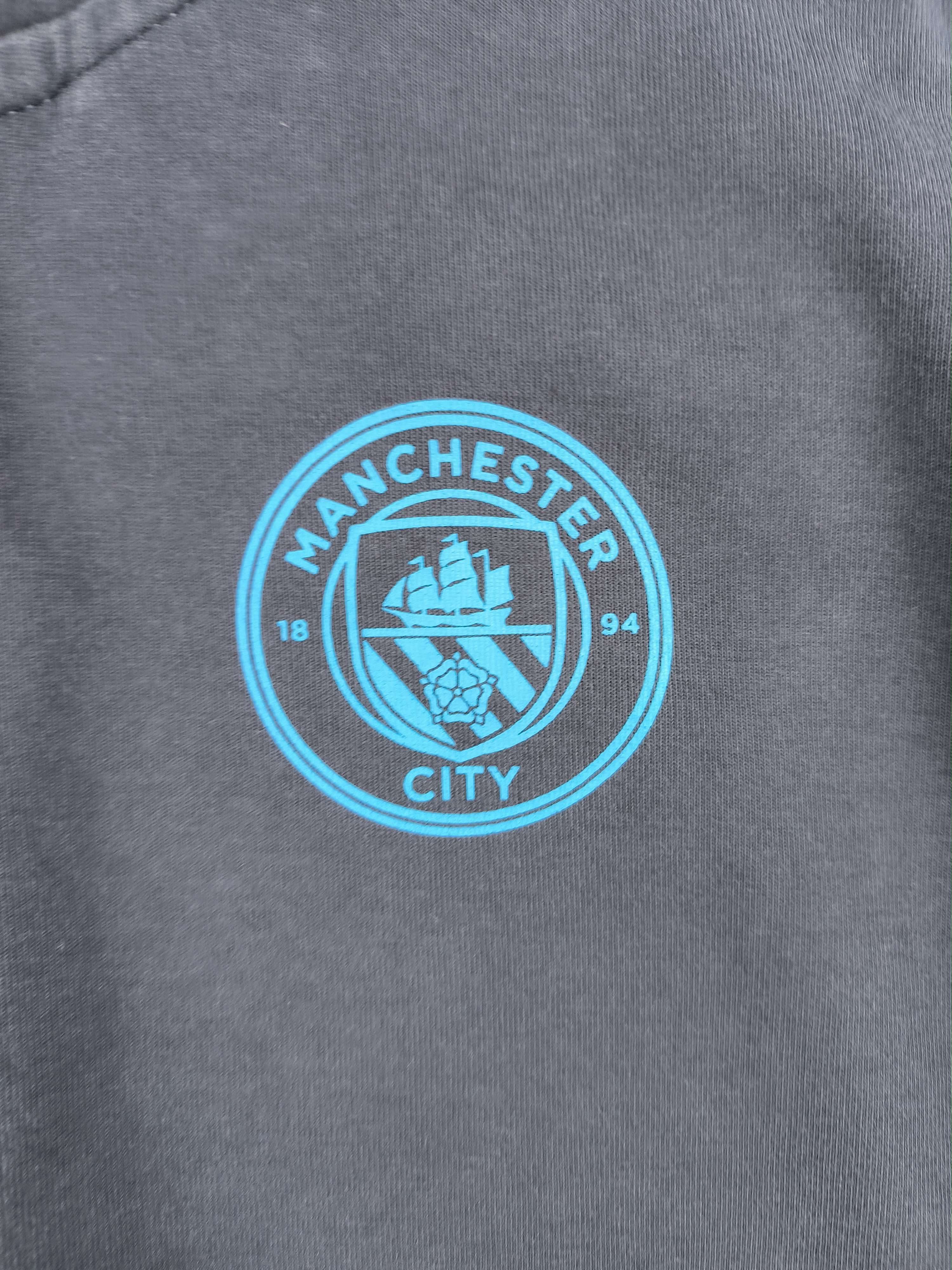 Puma Manchester City 2024-25 Puma football hoodie size L Size US L / EU 52-54 / 3 - 3 Thumbnail