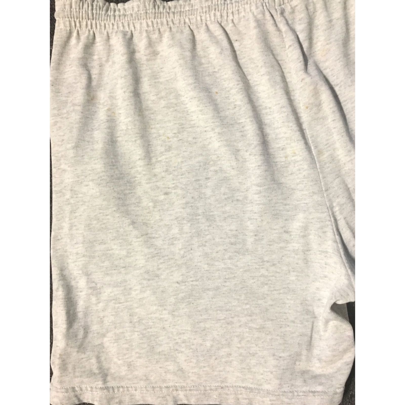 Champion VINTAGE Champion NIU Huskies Faded Shorts XL Men Gray 80s 90s Athletic USA Grunge Nautical Colleg e Track & Field Size US 36 / EU 52 - 7 Thumbnail