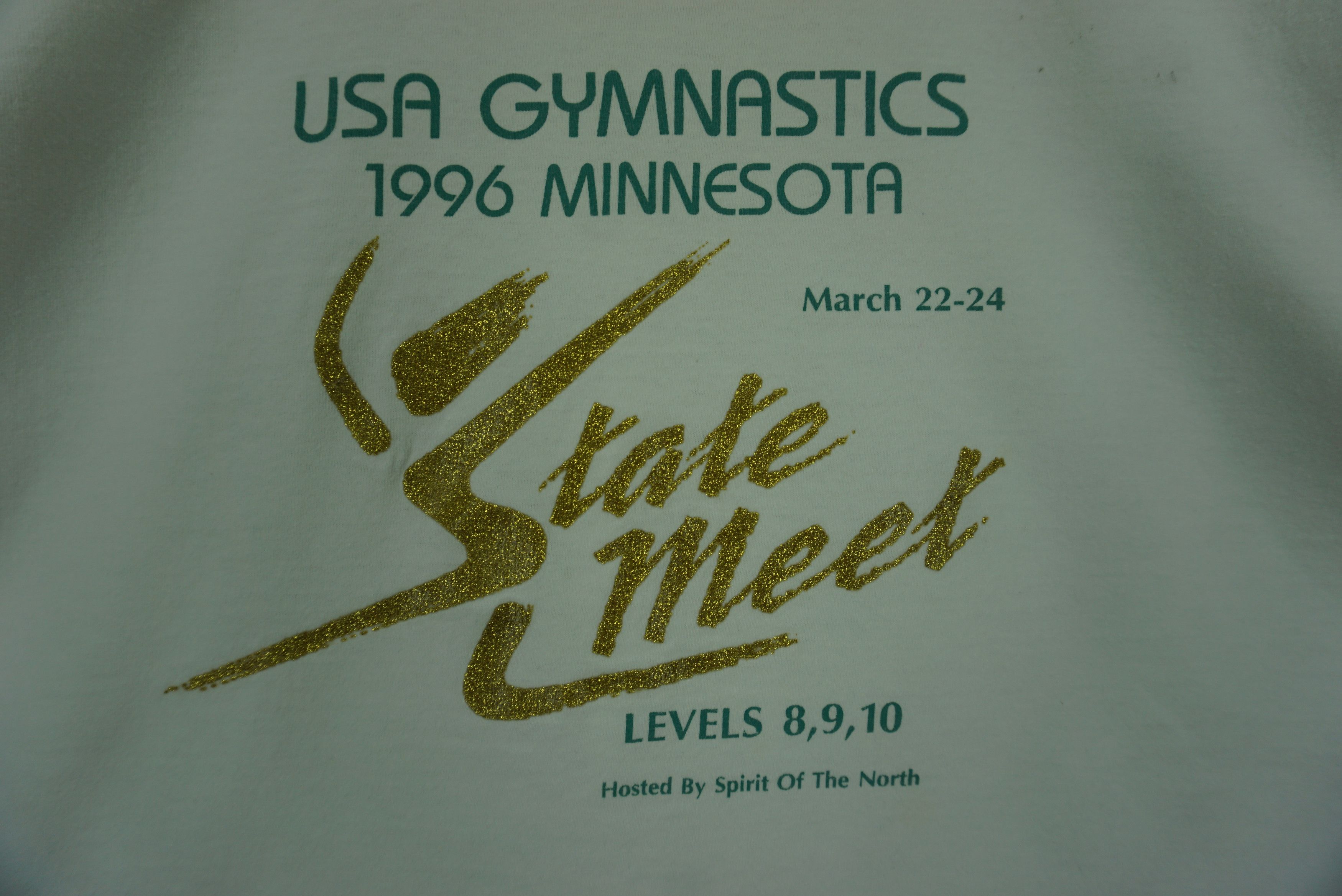 Fruit Of The Loom USA Gymnastics 1996 Minnesota State Meet North Spirit x2 Size US L / EU 52-54 / 3 - 4 Thumbnail