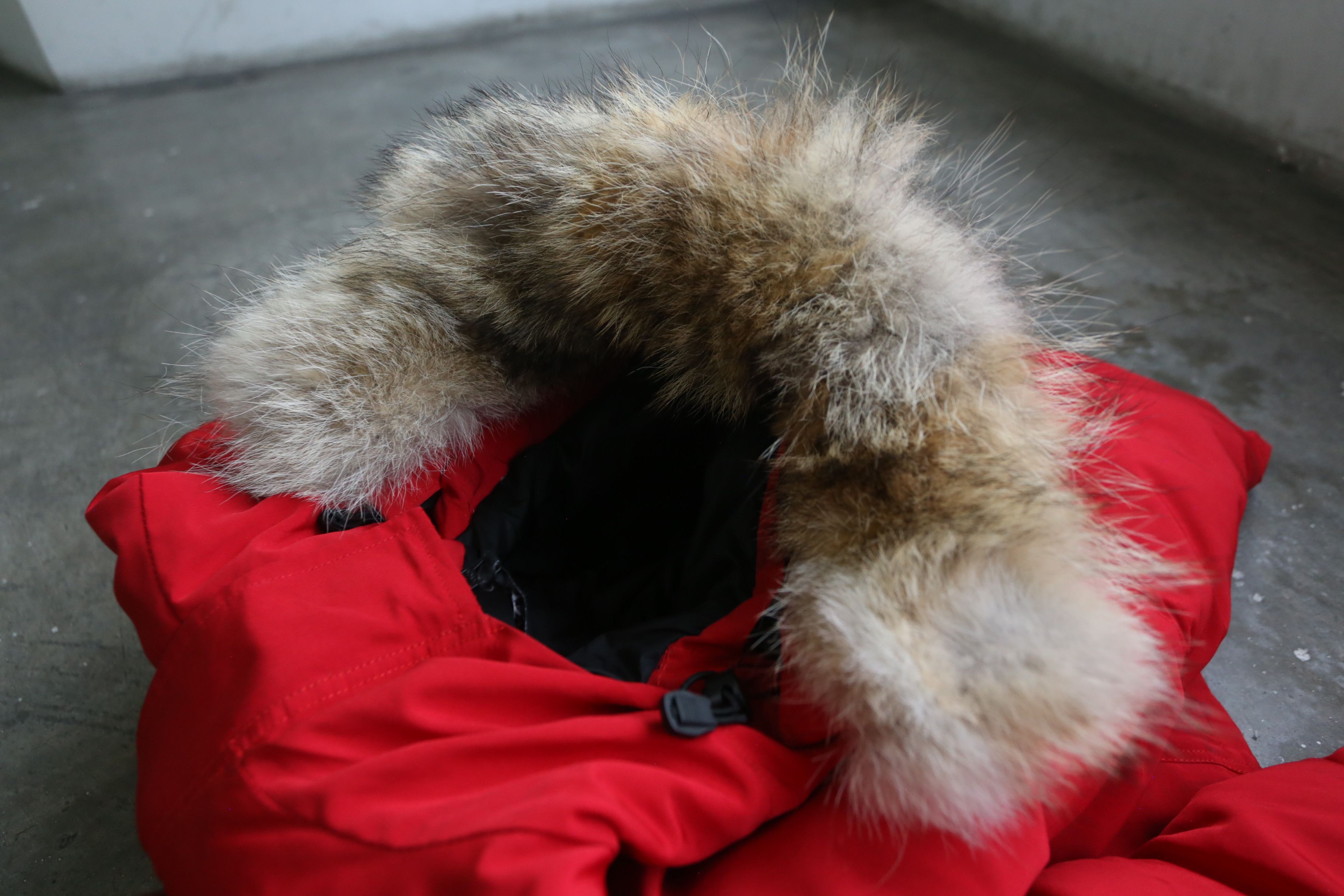 Canada Goose Canada Goose - Expedition Jacket Size US L / EU 52-54 / 3 - 18 Thumbnail