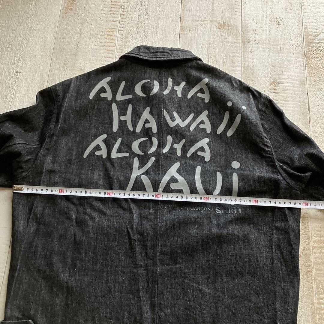Comme des Garcons comme des garçons homme plus denim jacket Size US M / EU 48-50 / 2 - 3 Thumbnail
